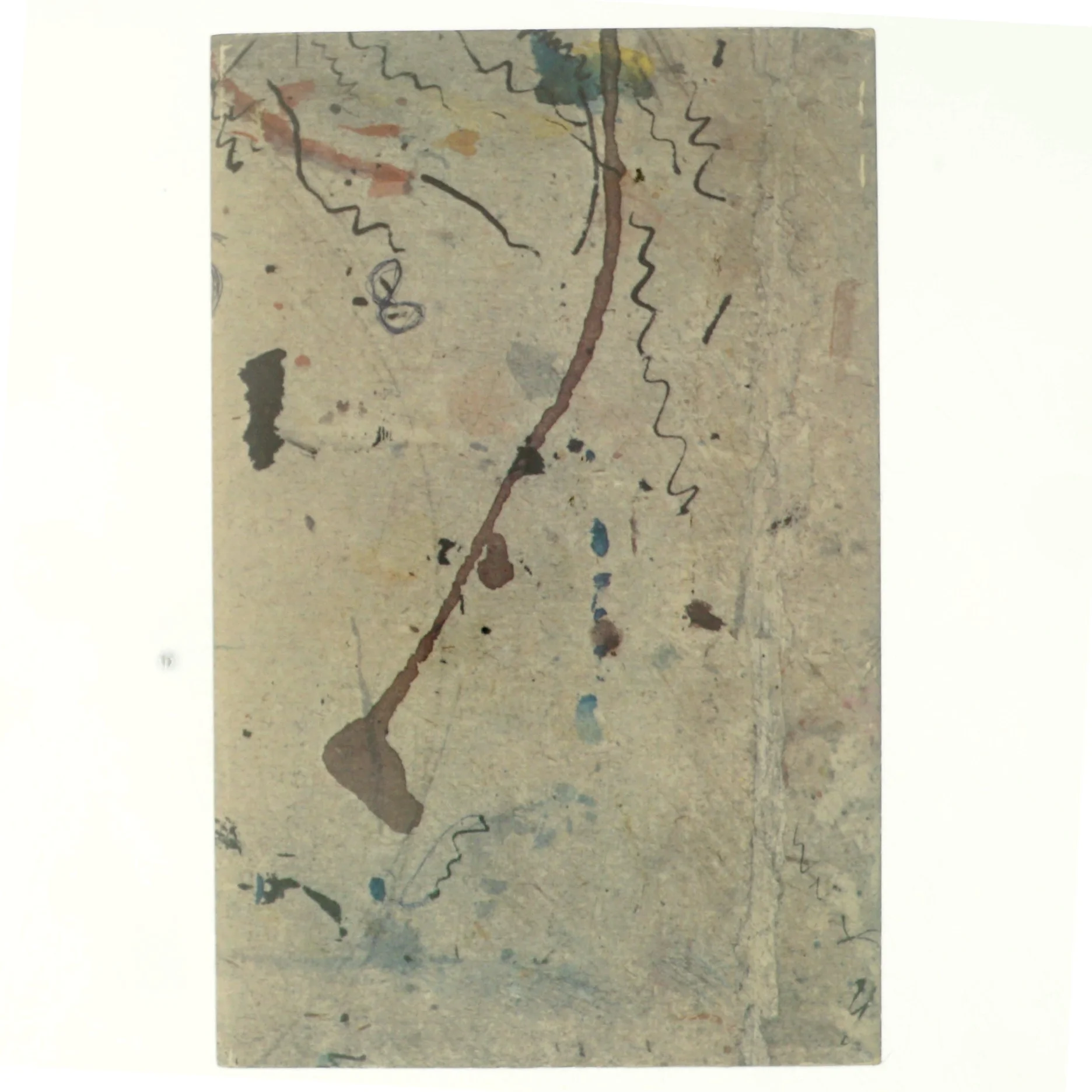 Kassen en skizofren piges drømme