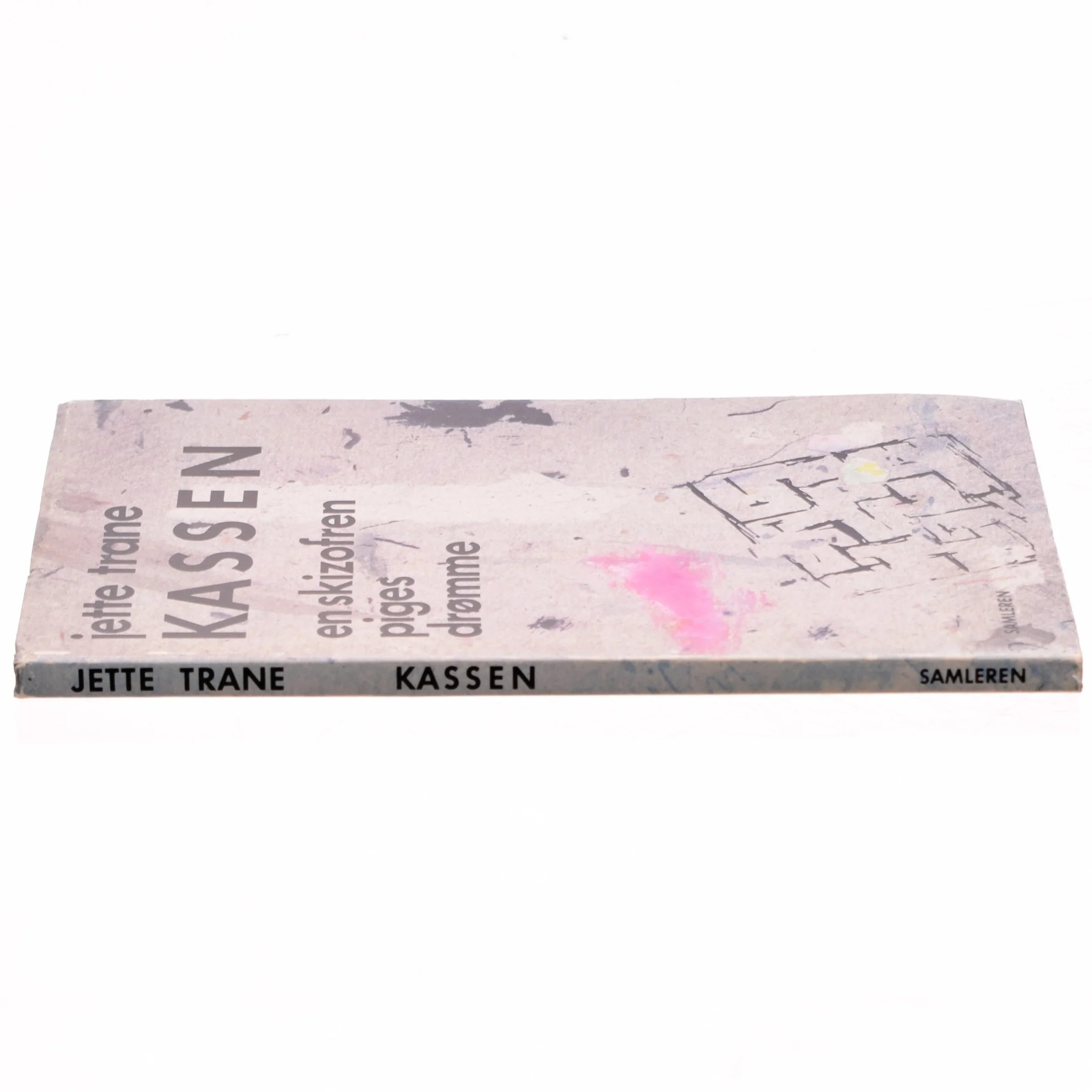 Kassen en skizofren piges drømme