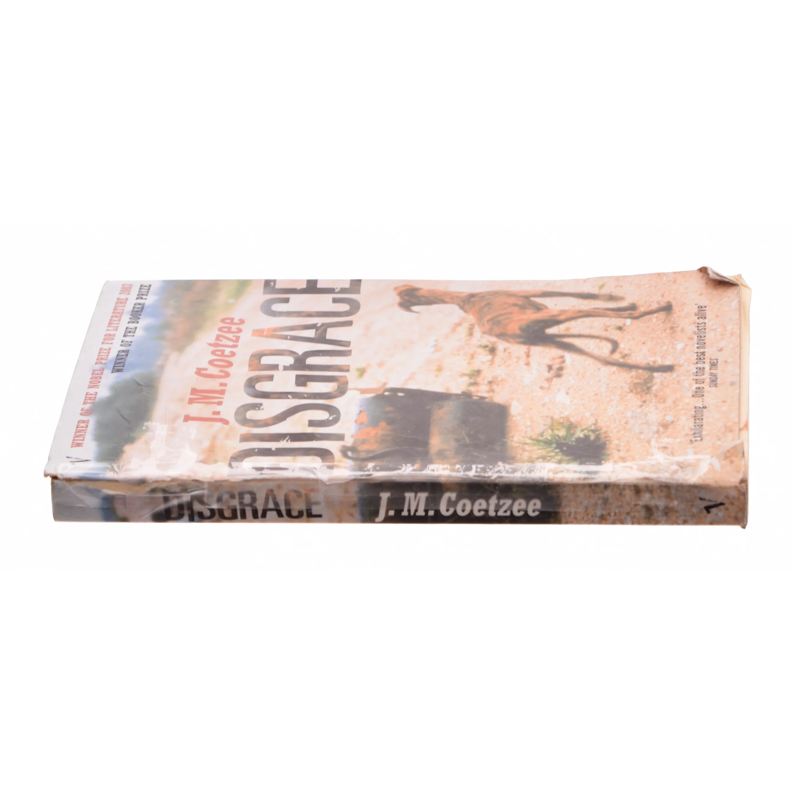 Disgrace af Coetzee, J.m. (Bog)