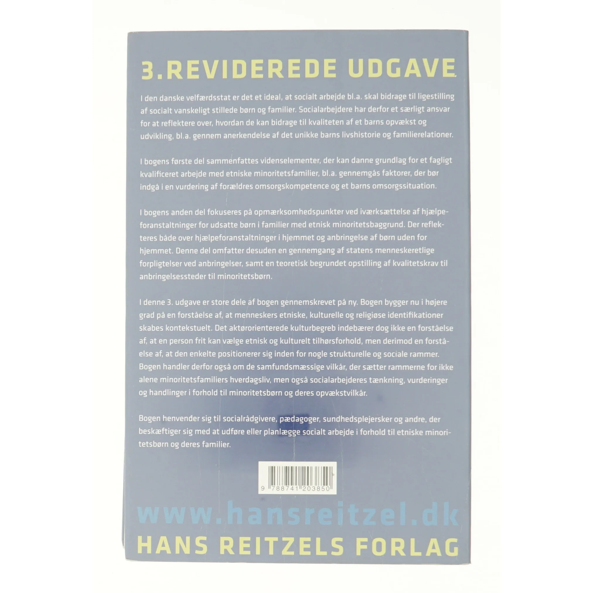 Etniske minoritetsfamilier og socialt arbejde af Marianne Skytte (Bog)