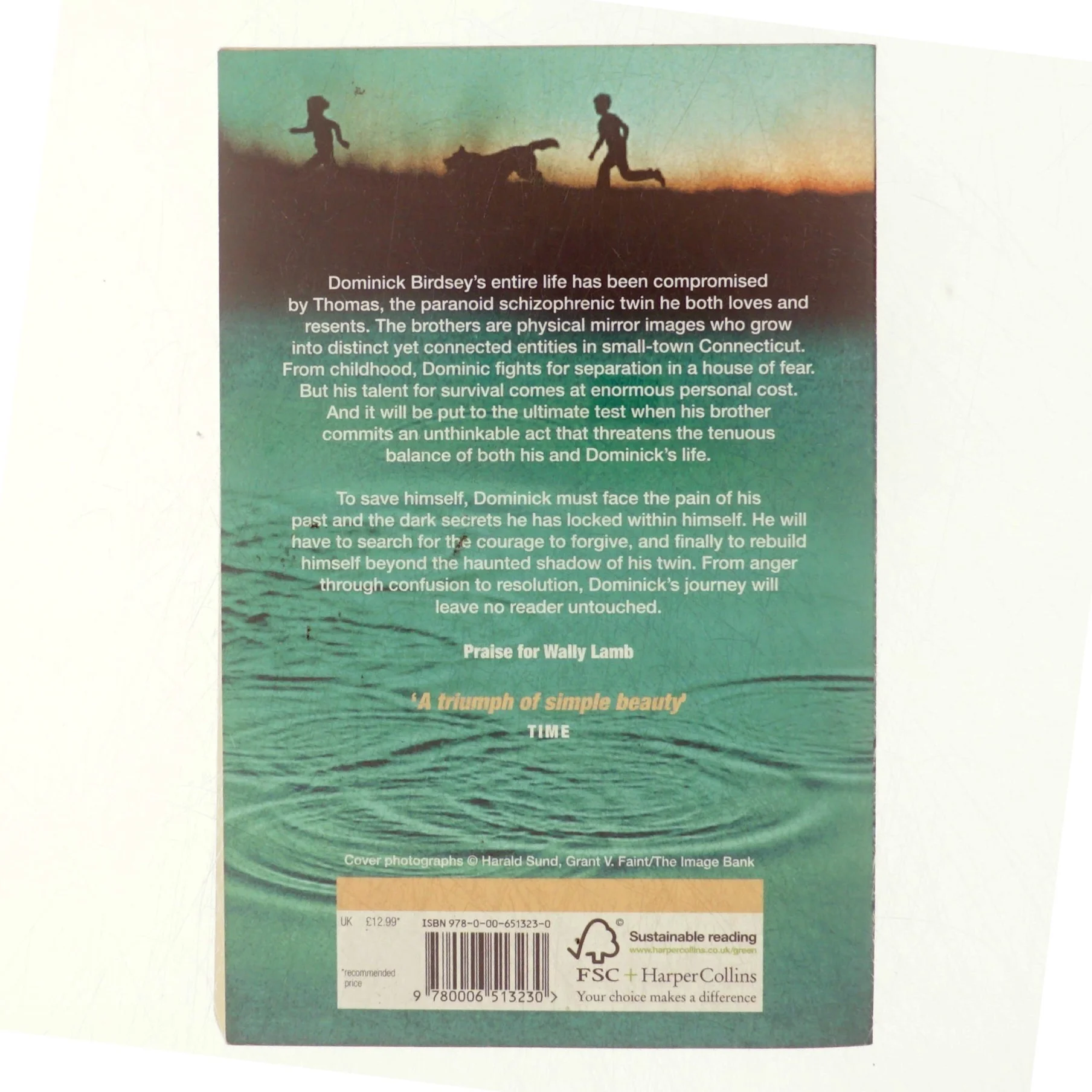 I know this much is true af Wally Lamb (Bog)