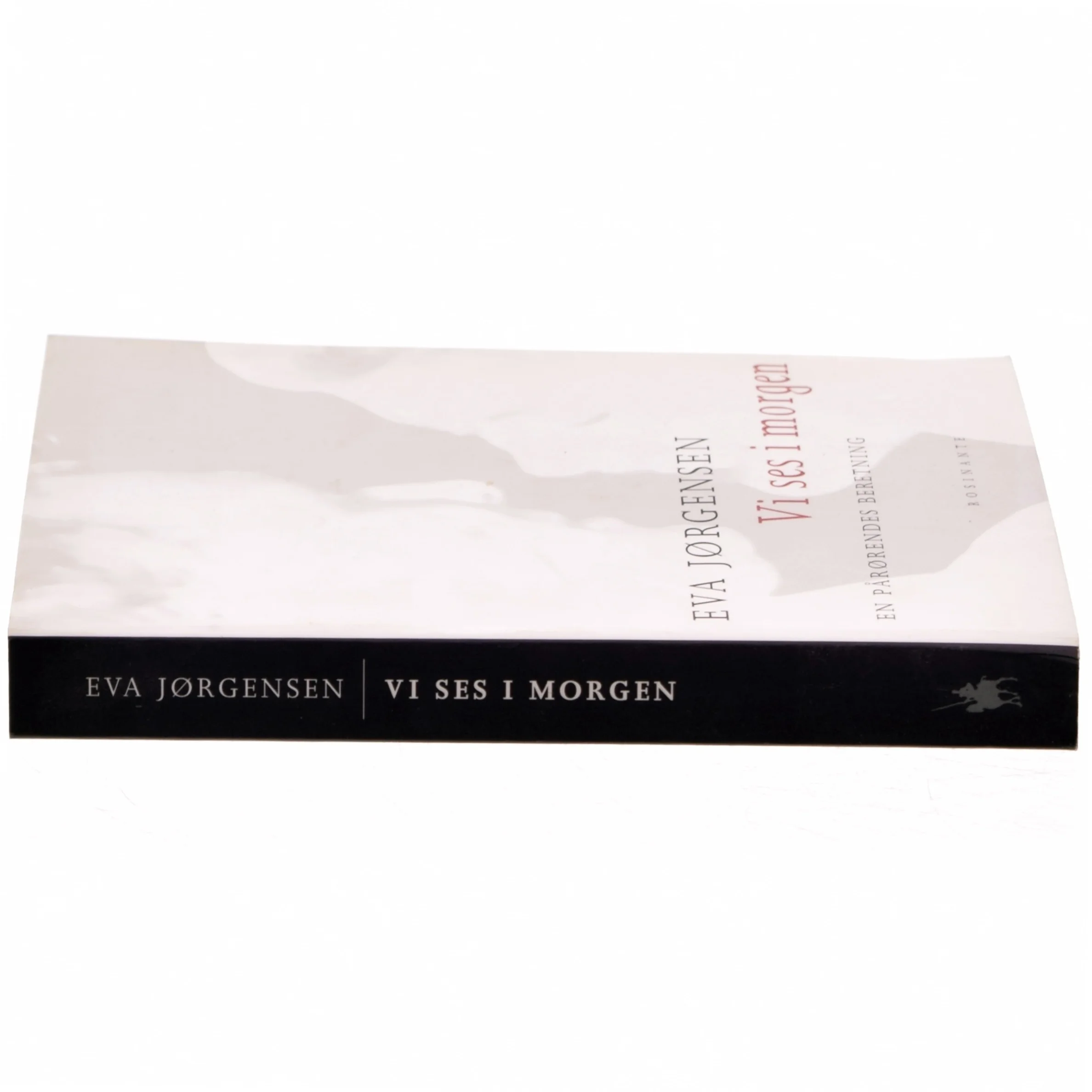 Vi ses i morgen af Eva Jørgensen