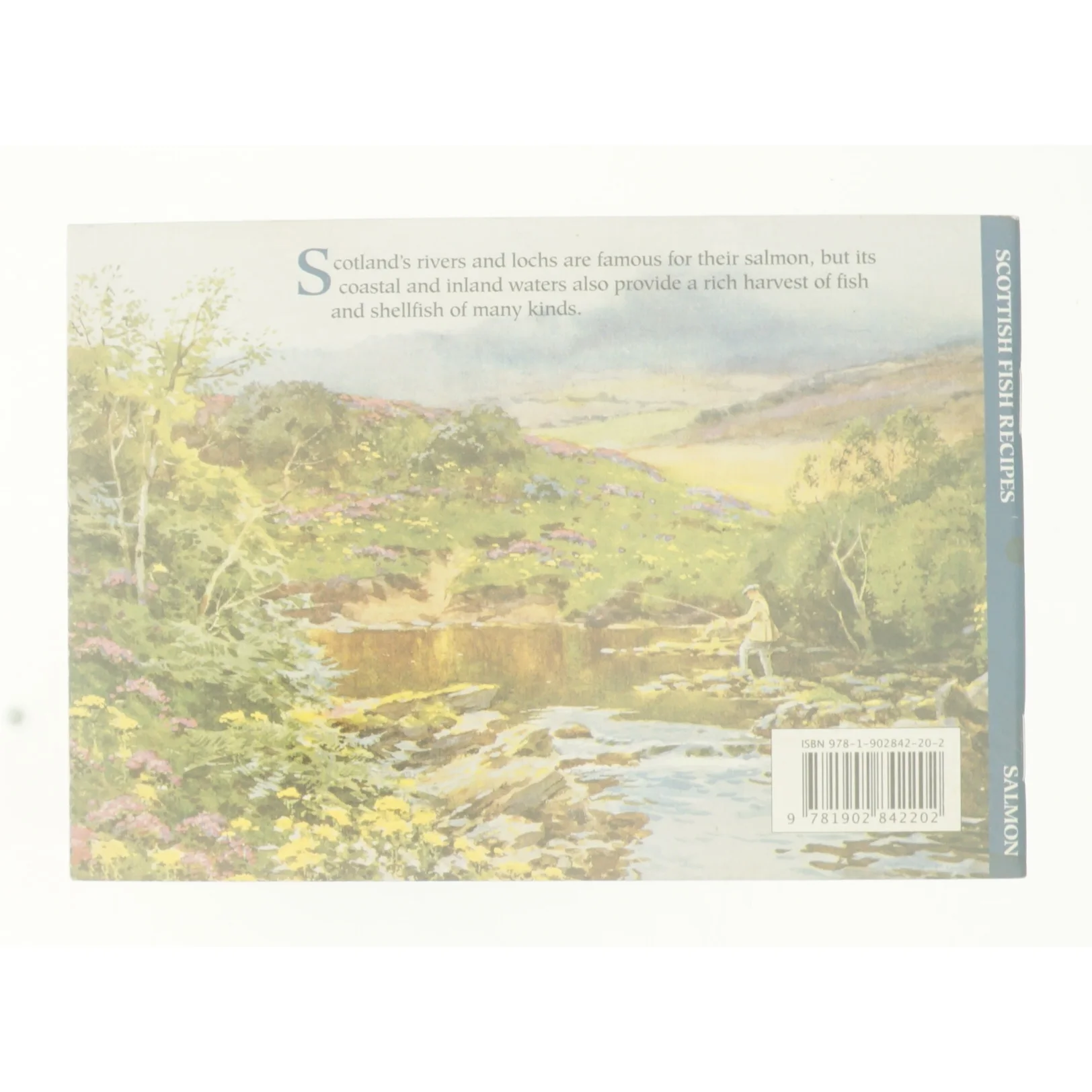 Scottish Fish Recipes af Mathie, Johanna (Bog)