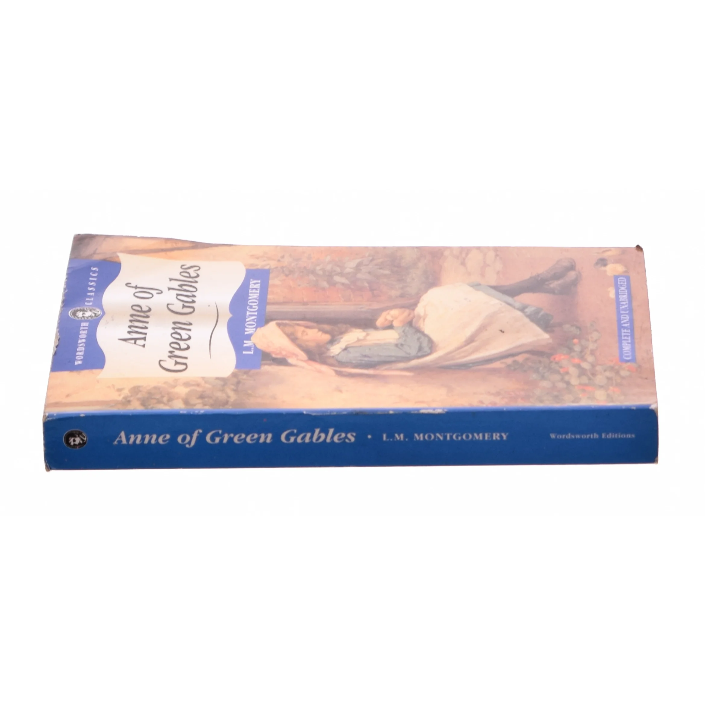 Wordsworth Children S Classics: Anne of Green Gables & Anne of Avonlea (Paperback) af Montgomery, Lucy Maud / Montgomery, L. (Bog)