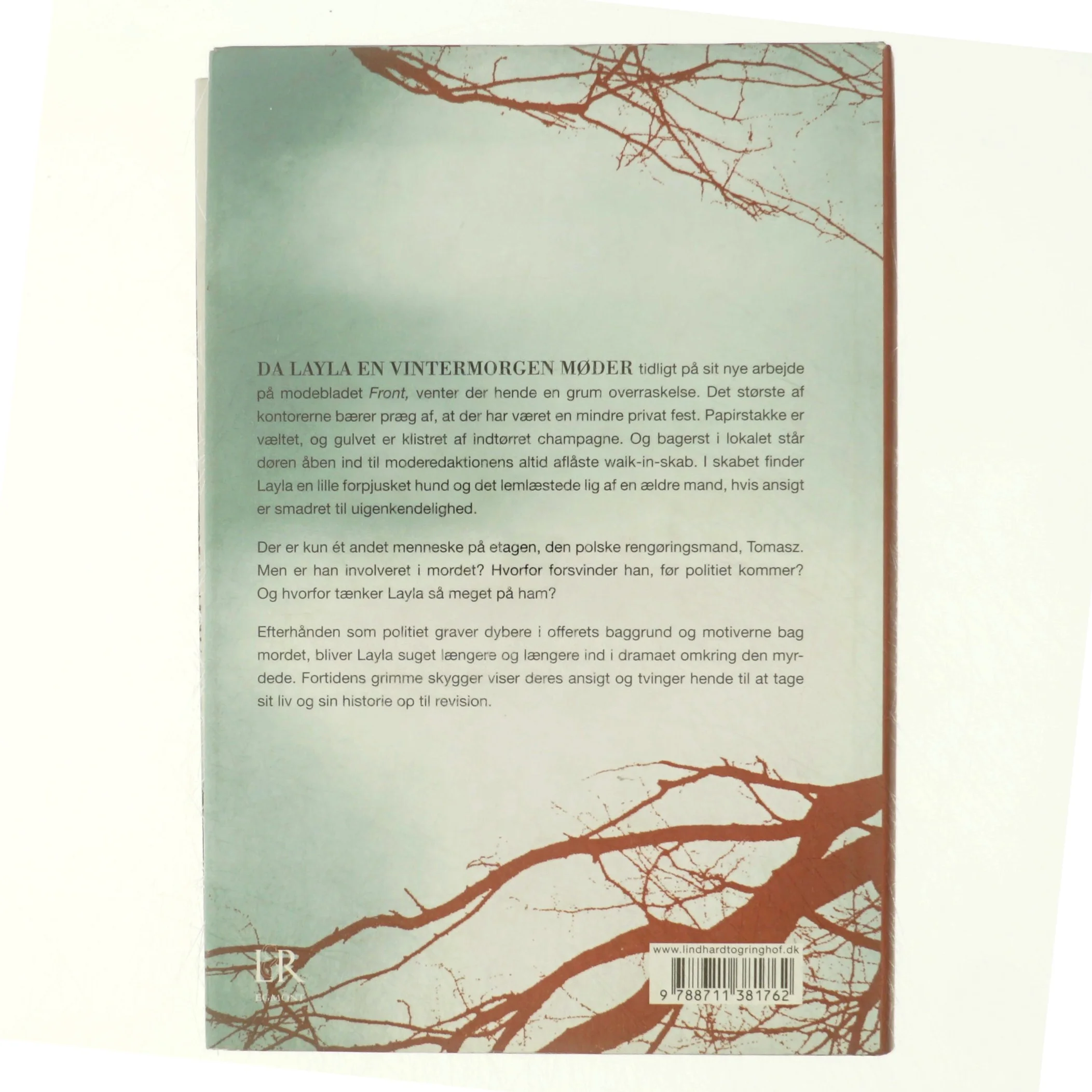 Frostgrader af Birgitte Bartholdy (Bog)