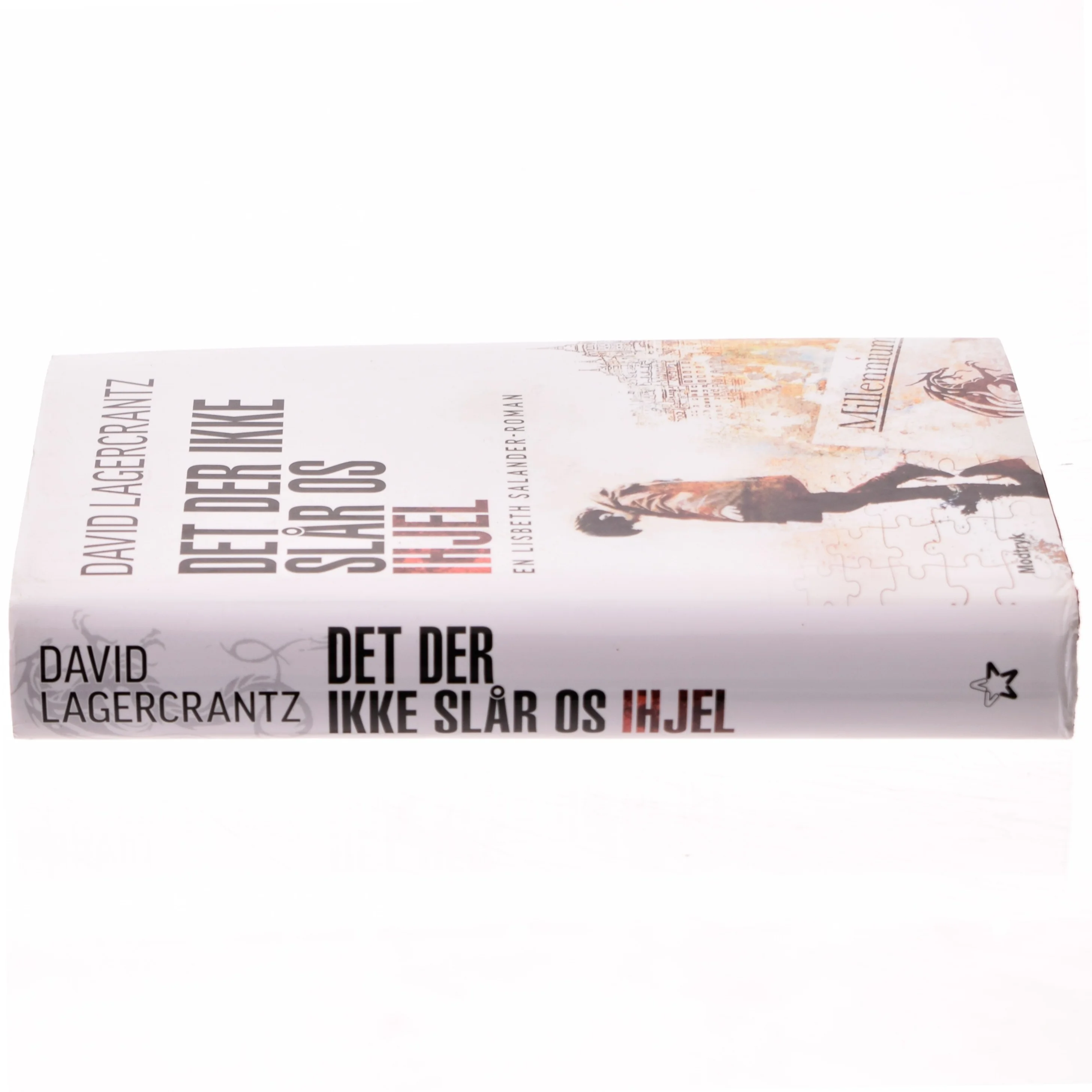 Det der ikke slår os ihjel af David Lagercrantz