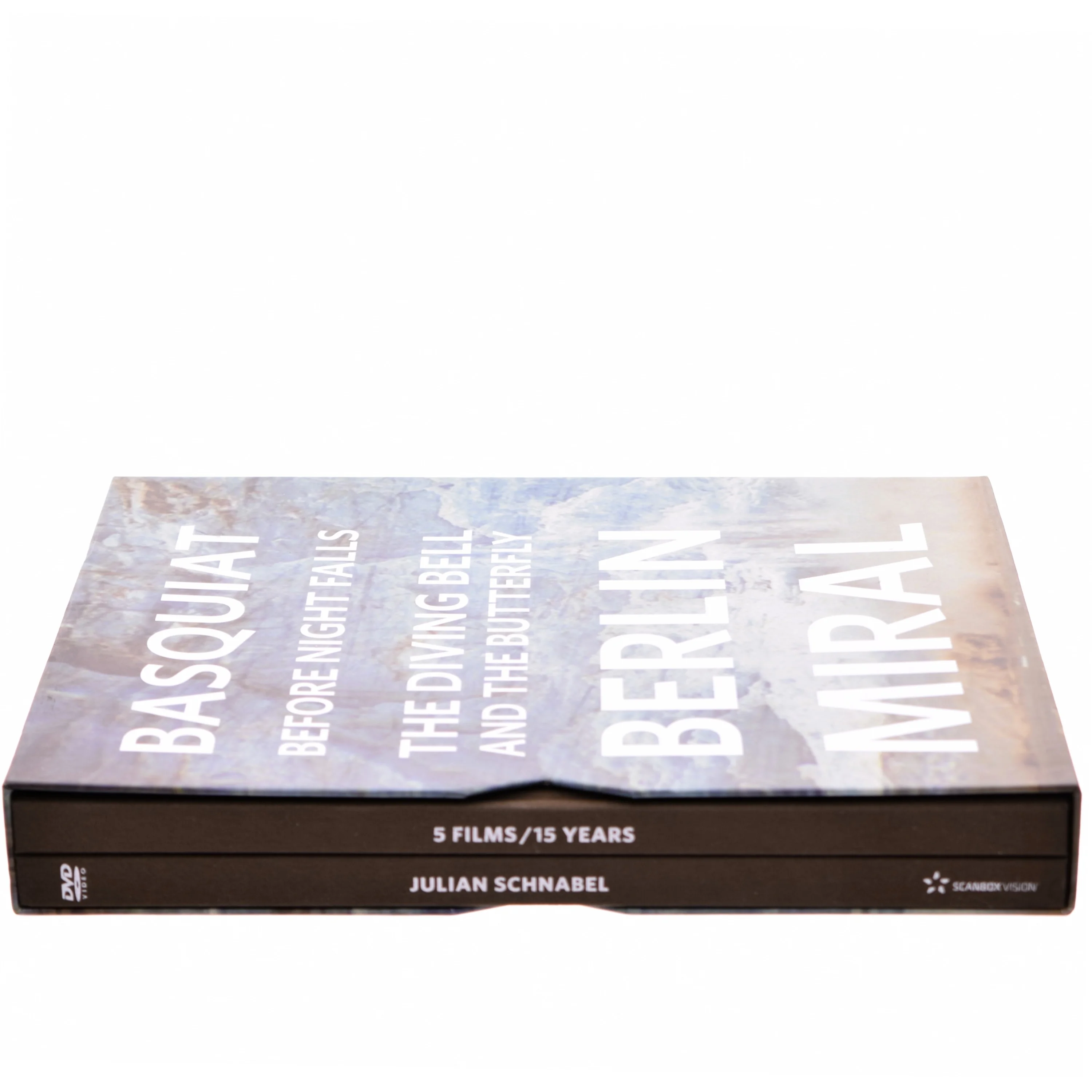 Basquiat, Before night falls, The diving bell and the butterfly, Berlin, Miral