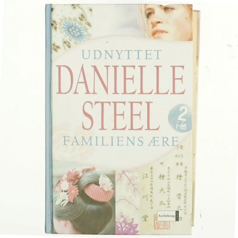Udnyttet : Familiens ære af Danielle Steel (Bog)