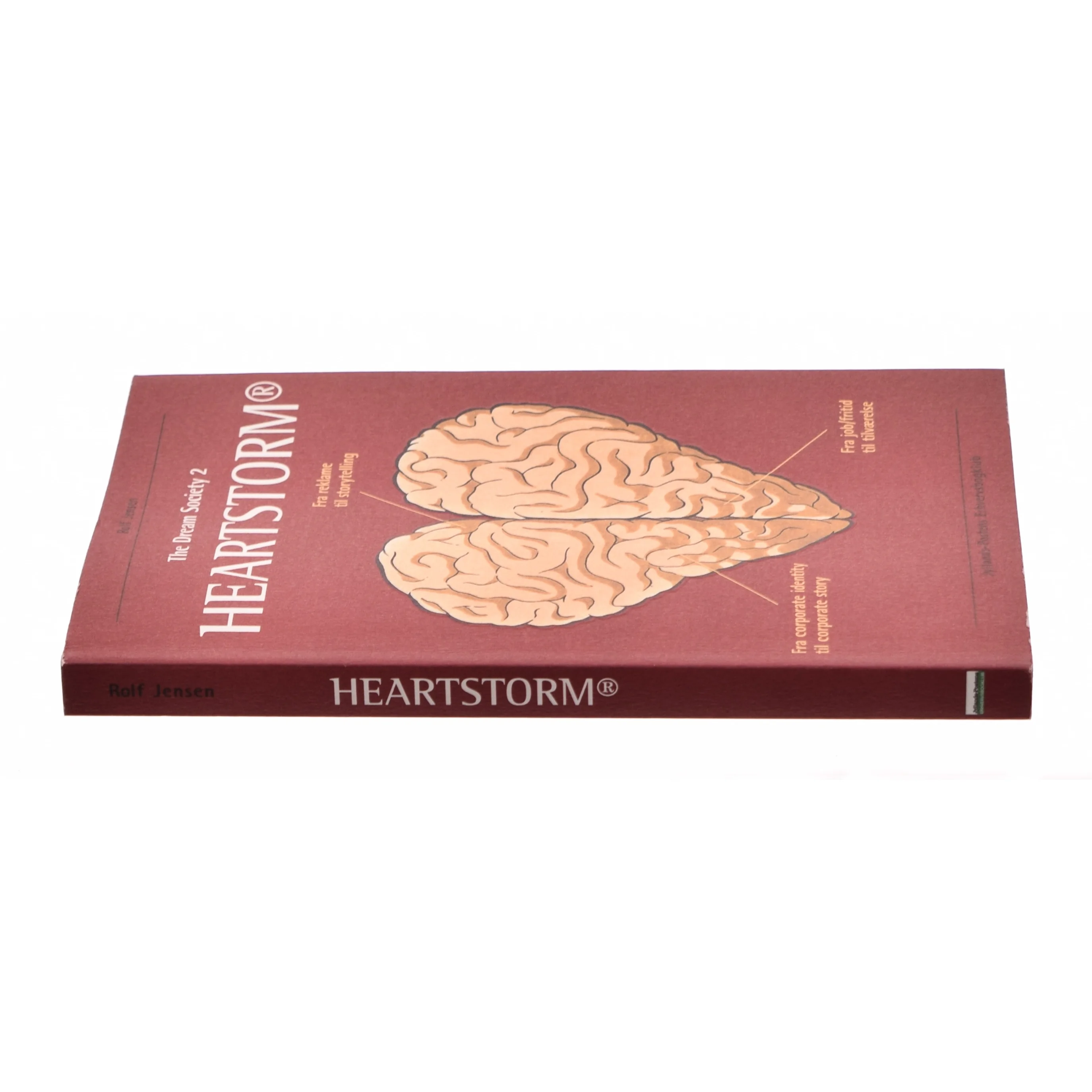 The dream society 2 - Heartstorm (Bog)