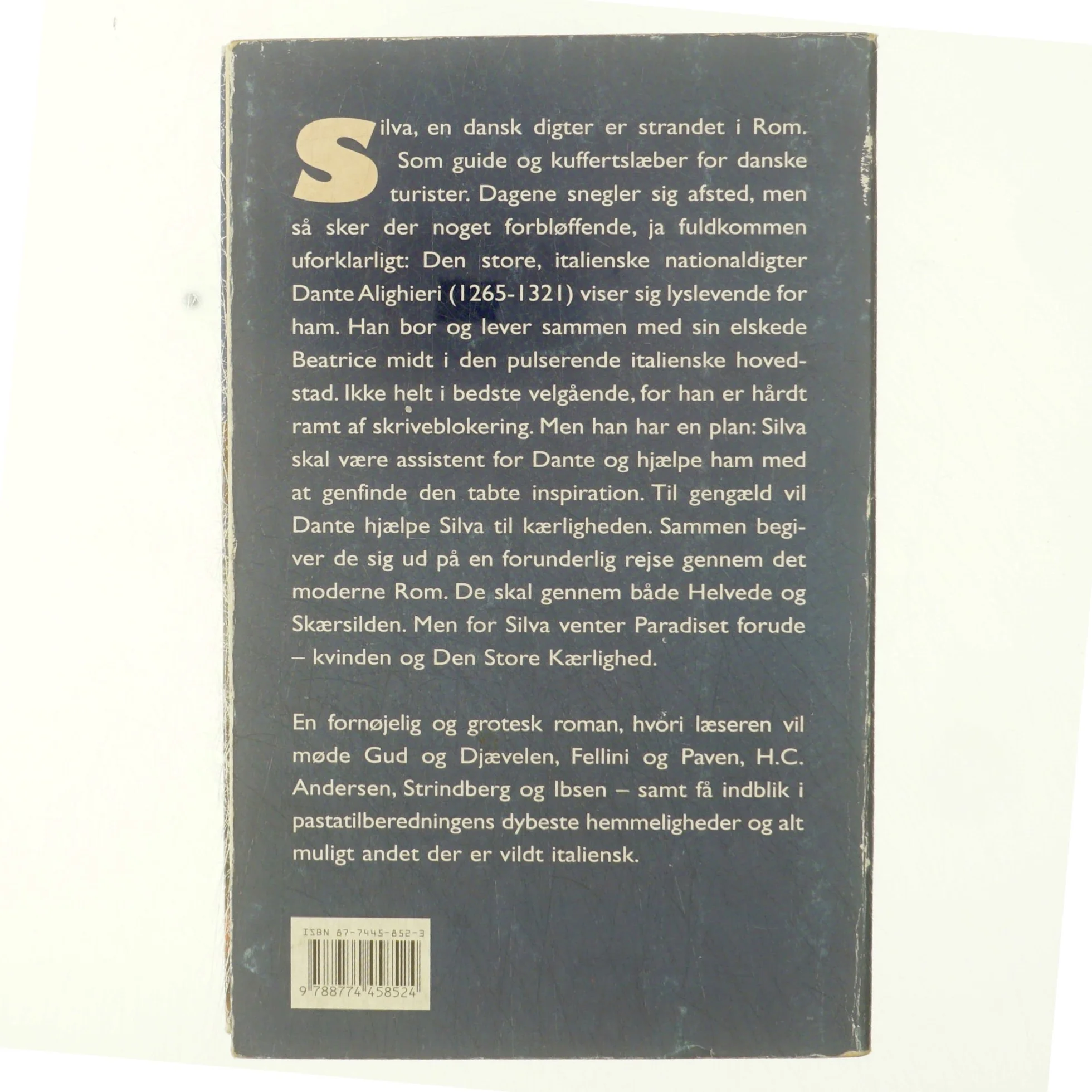 Gaven til paven : roman af Nils J. A. Schou (Bog)