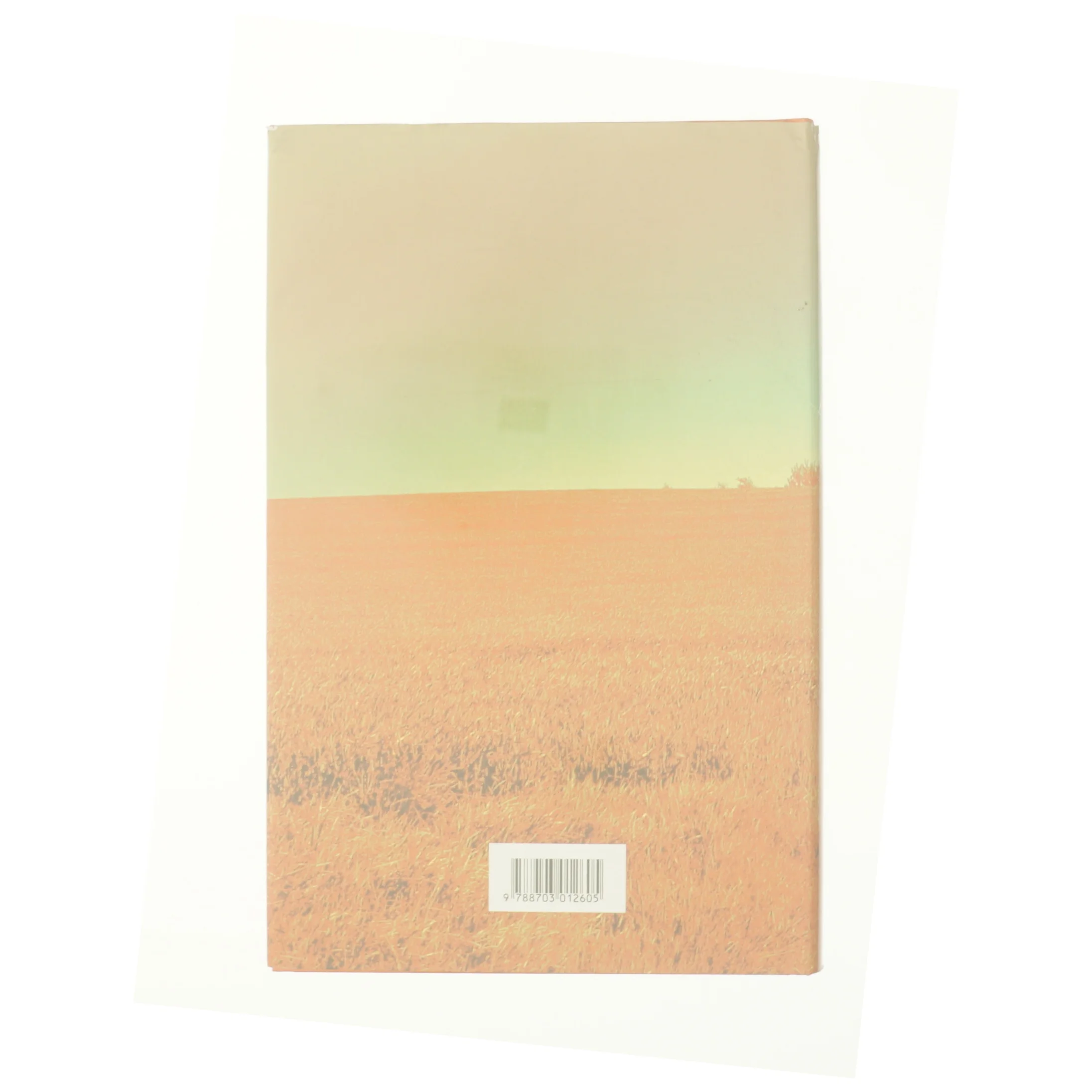 Det første jeg tænker på af Ida Jessen (Bog)