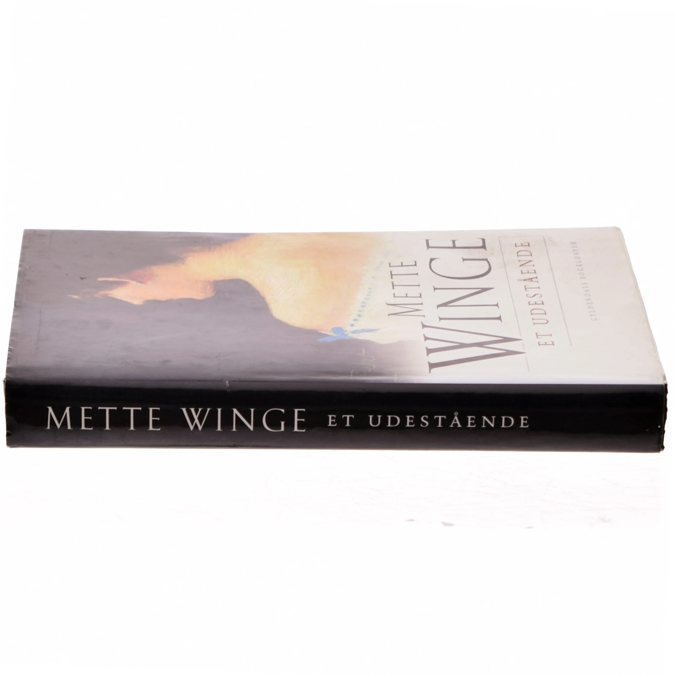 Et udestående af Mette Winge (Bog)