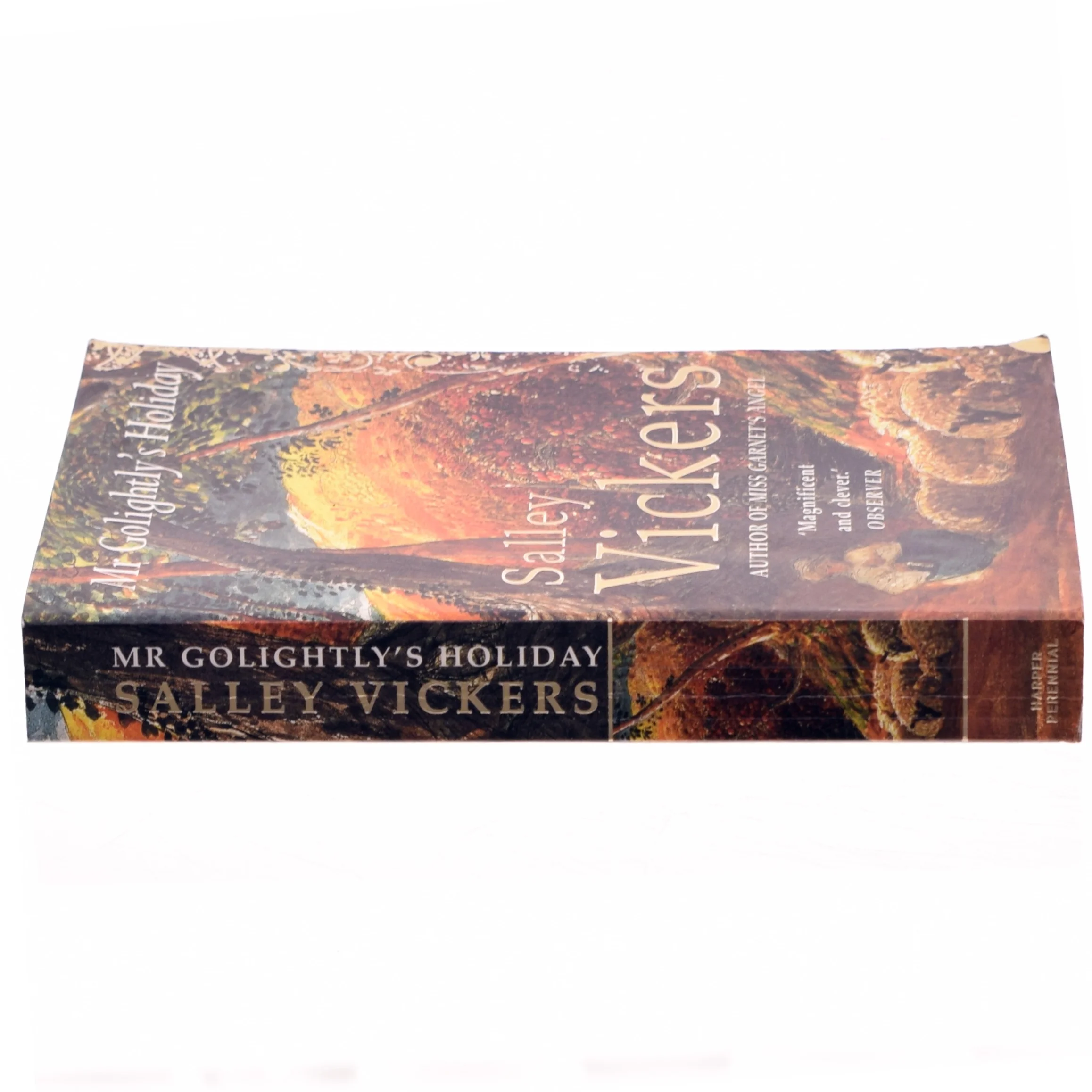 Mr. Golightly's holiday af Salley Vickers (Bog)