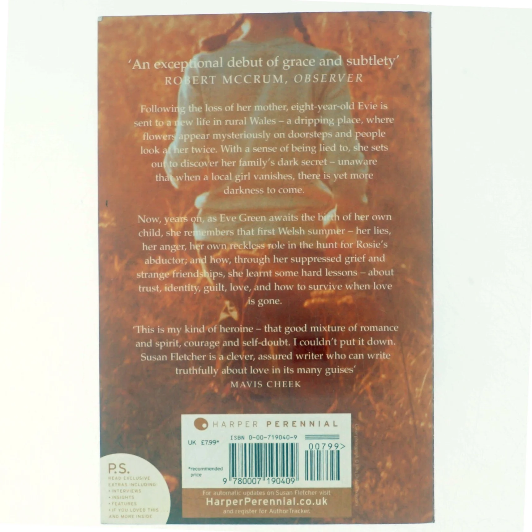 Eve Green af Susan Fletcher (Bog)