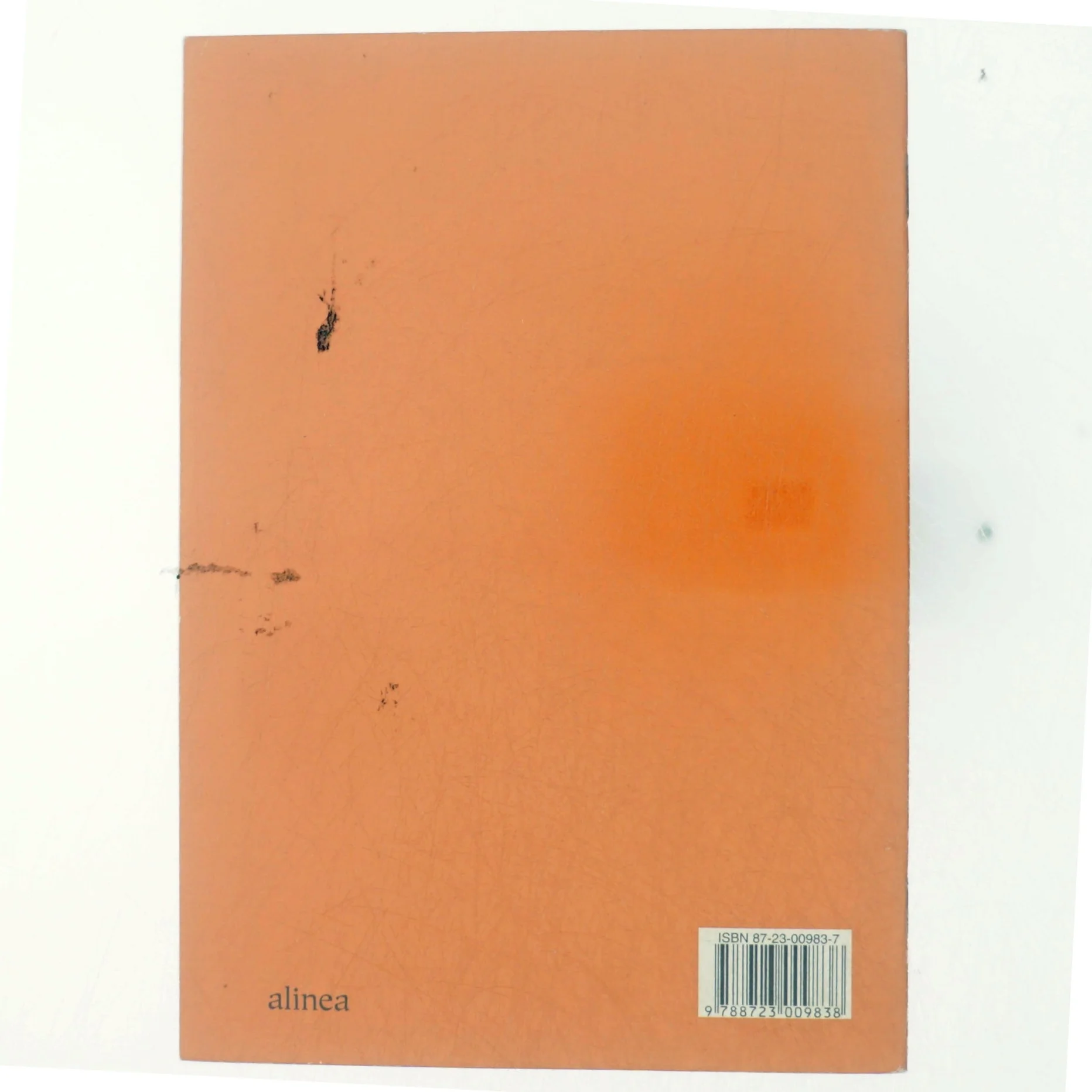 En tyv i huset (Bog)