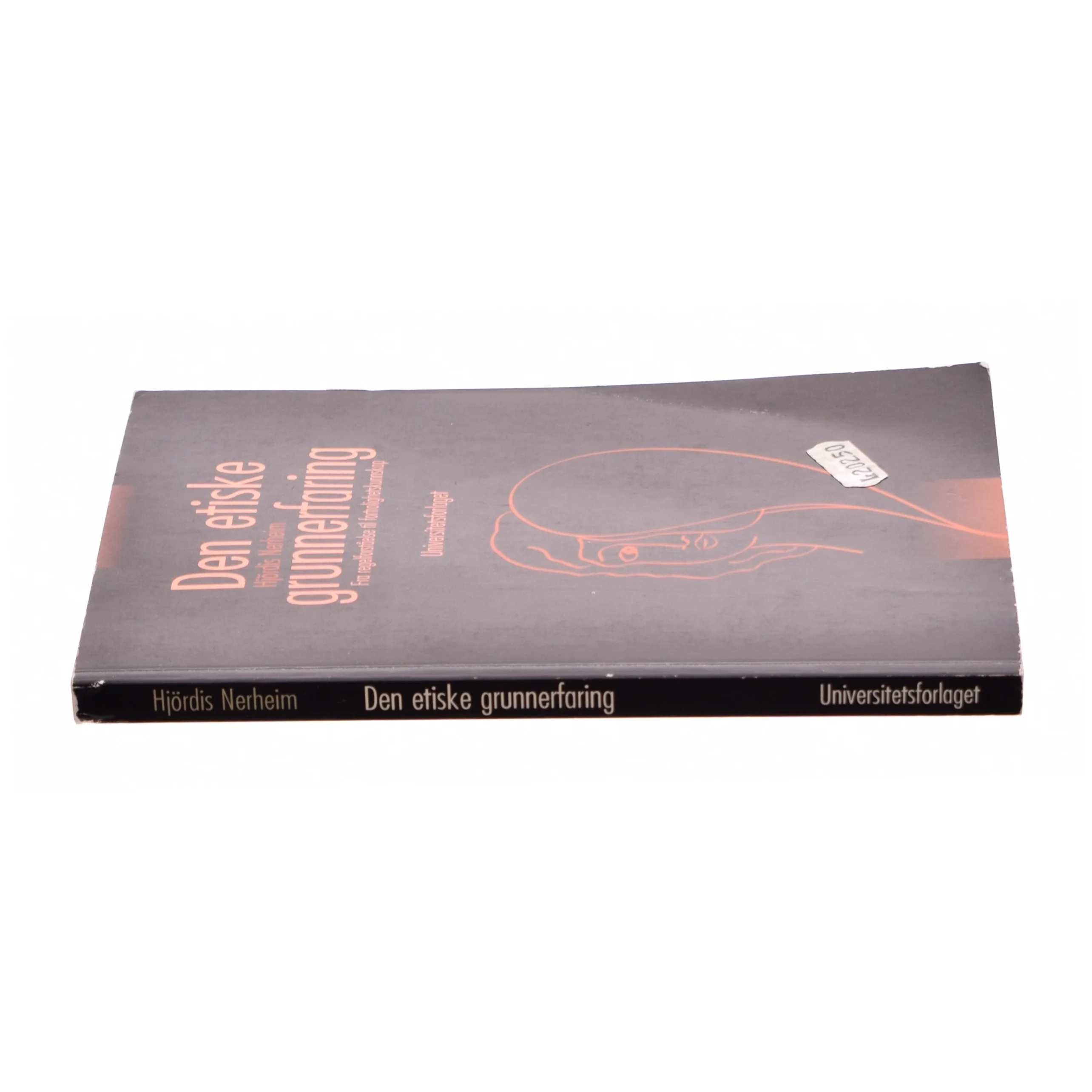 Den etiske grunnerfaring af Hjördis Nerheim (Bog)
