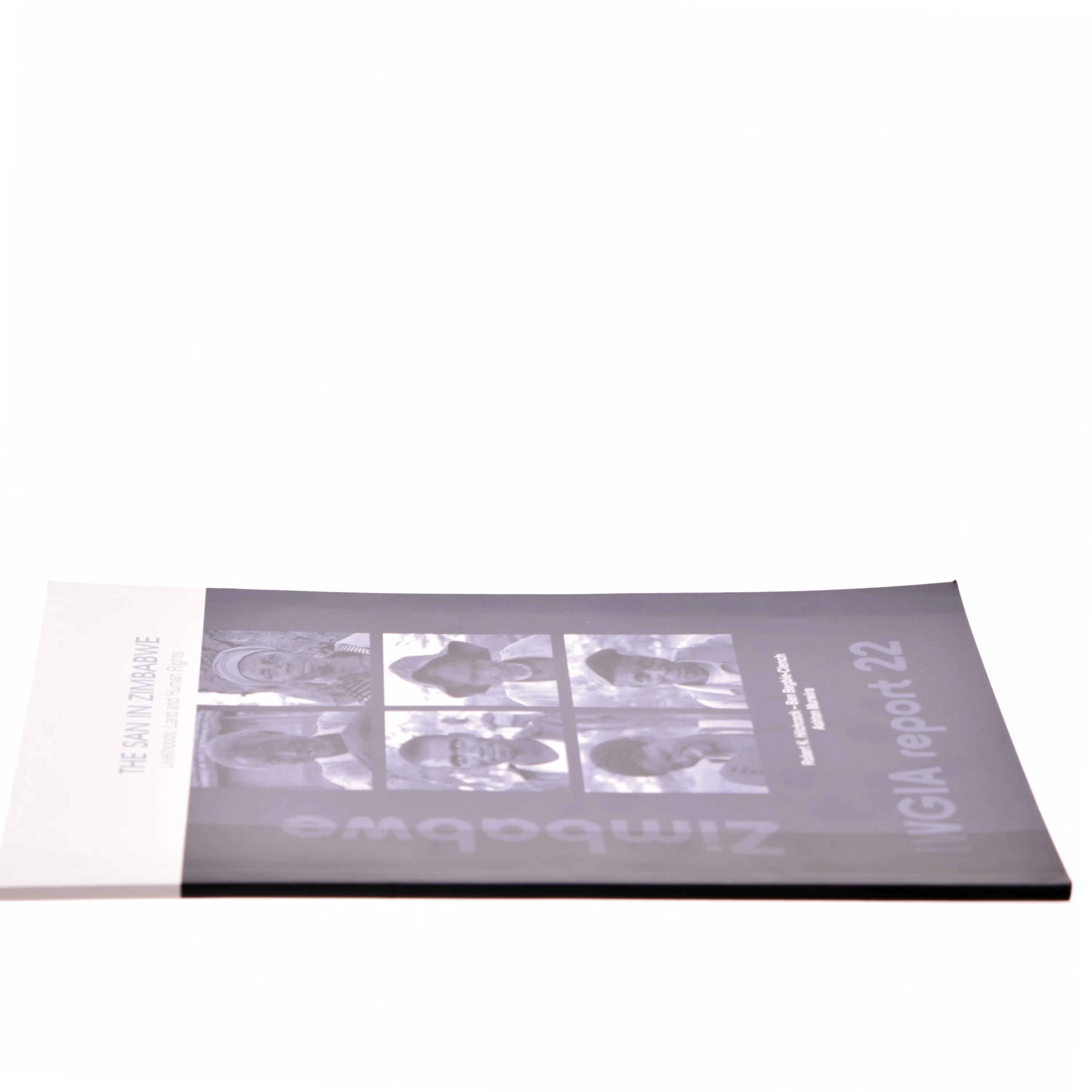 The San in Zimbabwe af Ashton Murwira, Ben Begbie-Clench, Robert K. Hitchcock (Bog)