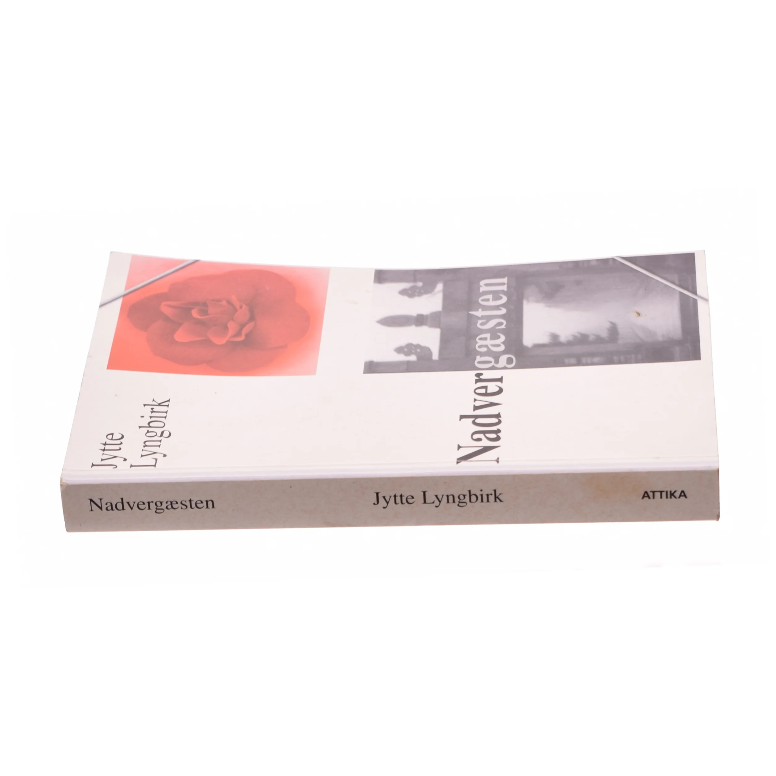 Nadvergæsten af Jytte Lyngbirk (Bog)