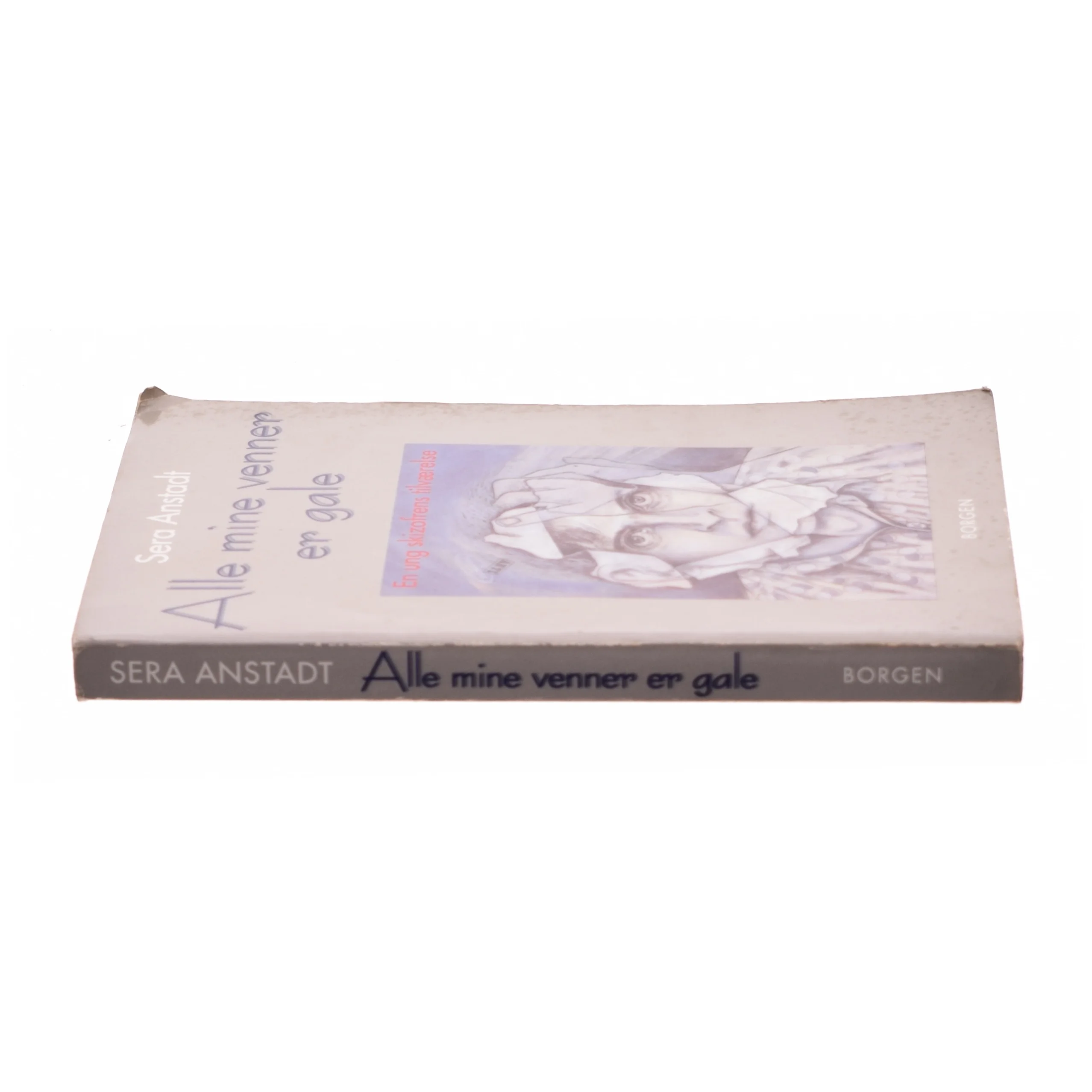 Alle mine venner er gale : en ung skizofrens tilværelse af Sera Anstadt (Bog)