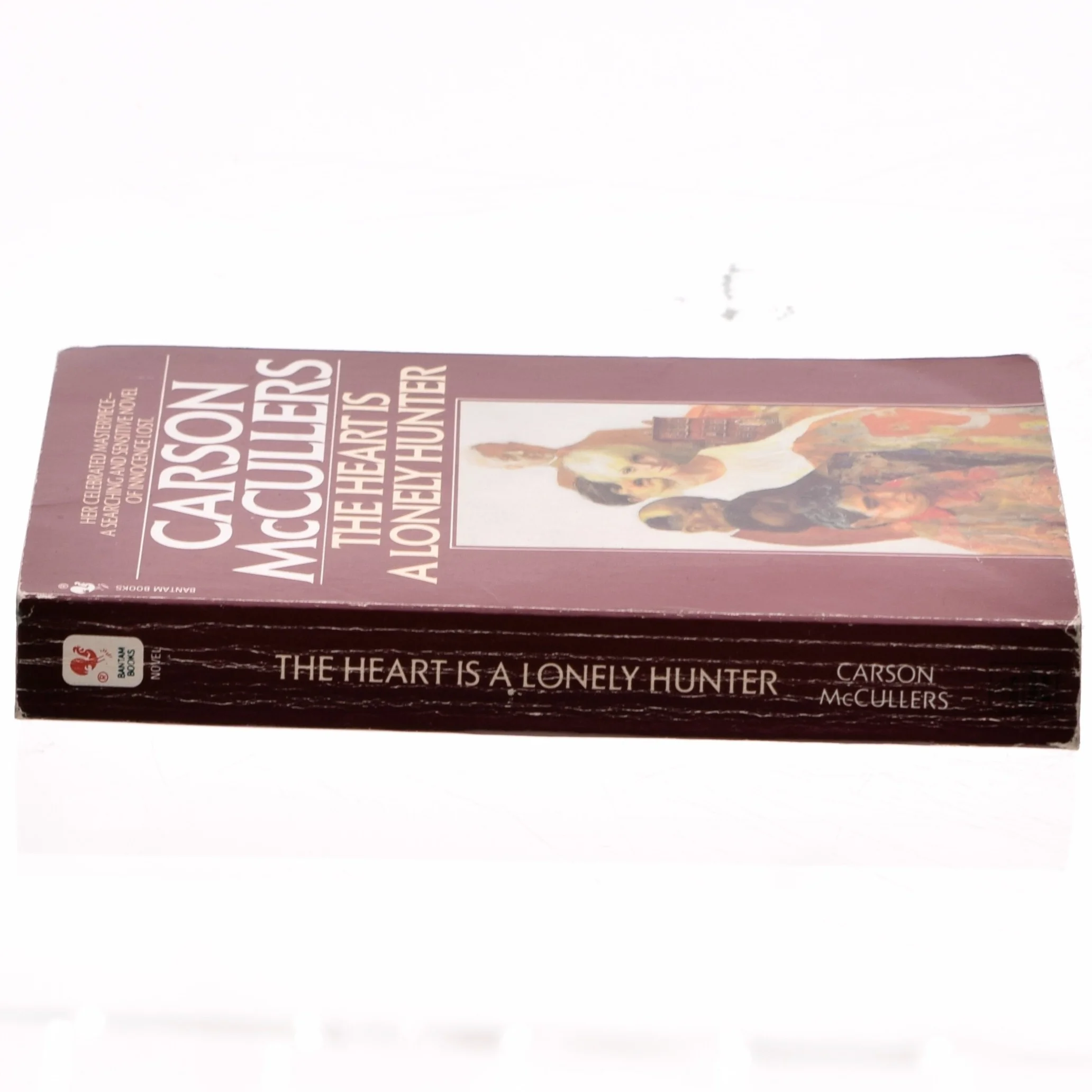 The heart is a lonely hunter by Carson McCullers