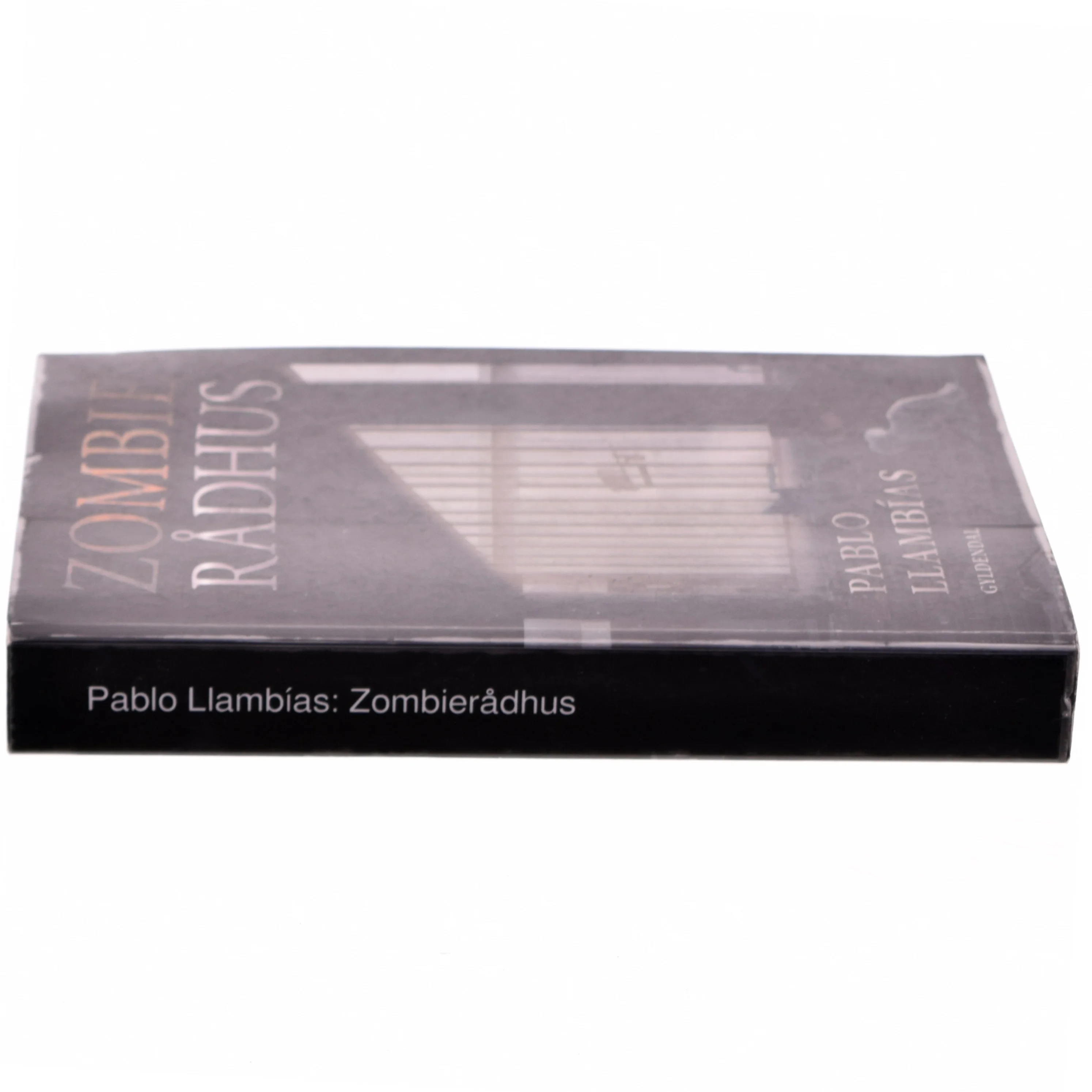 Zombierådhus : roman af Pablo Llambías (Bog)