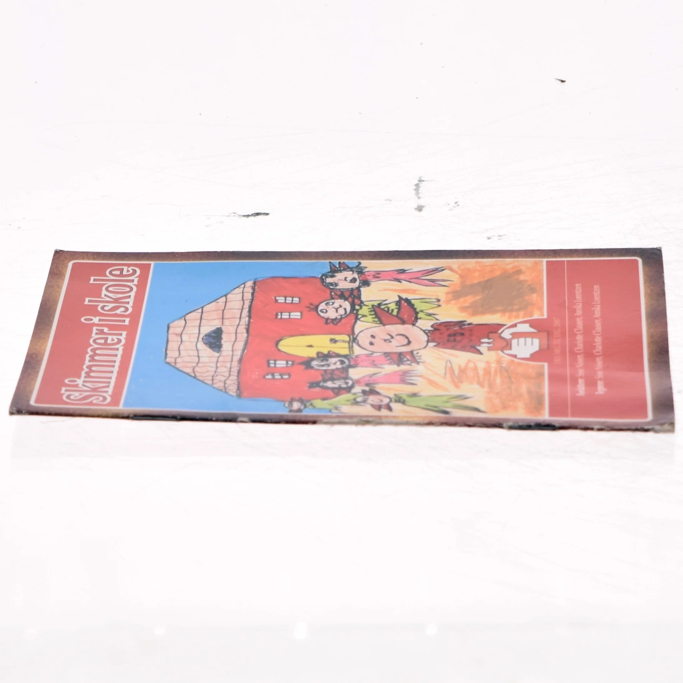 Skimmer i skole (Bog)