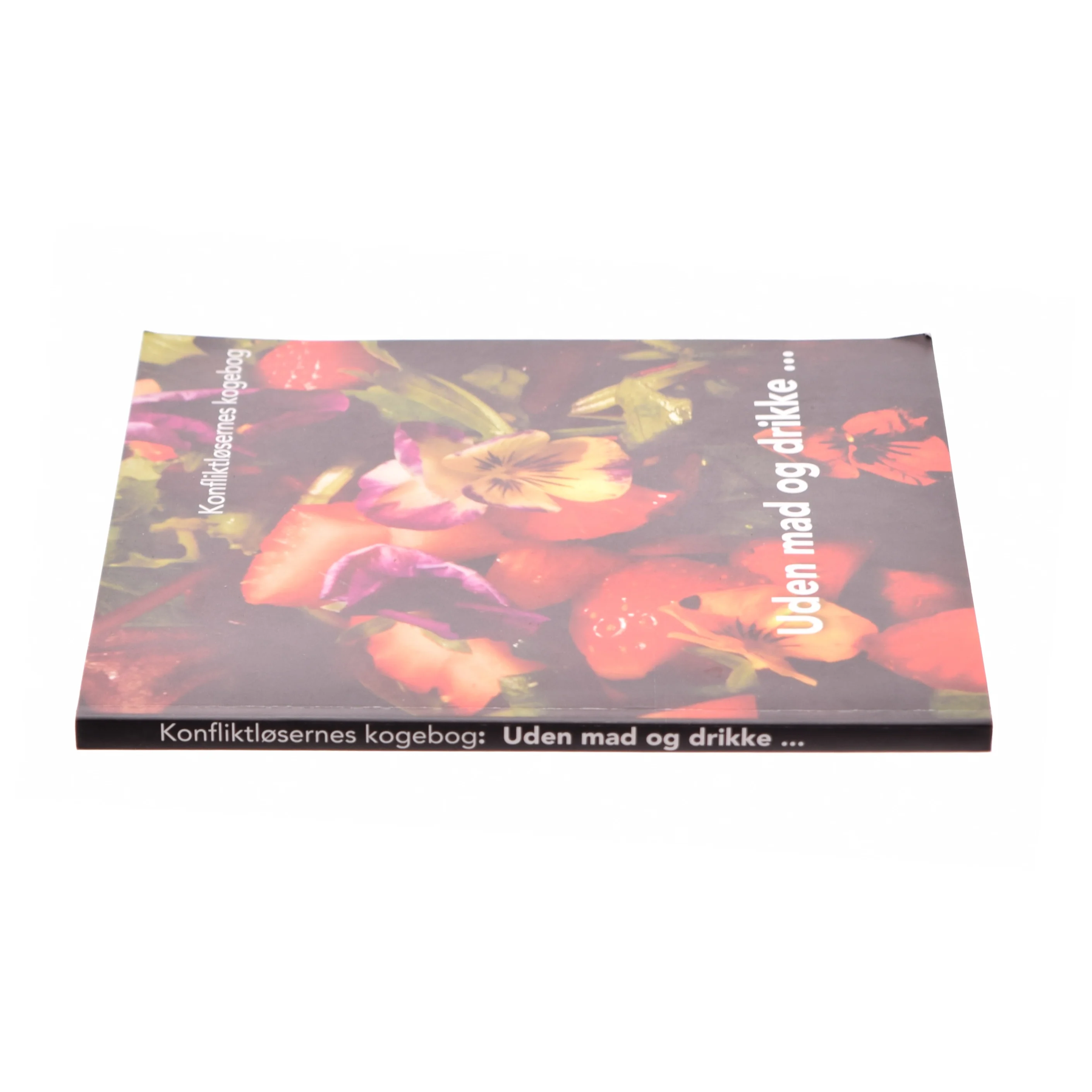 Uden mad og drikke - (Bog)