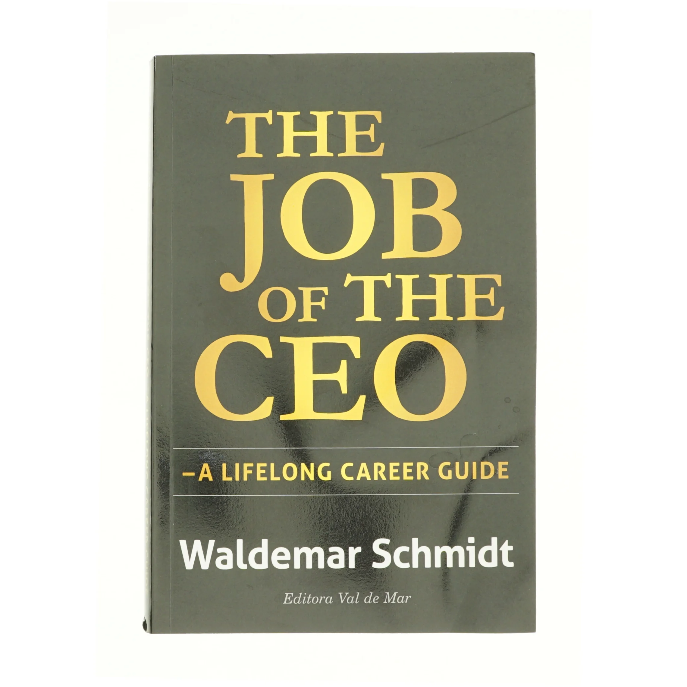 The Job of the CEOnaf Waldemar Schmidt (Bog)