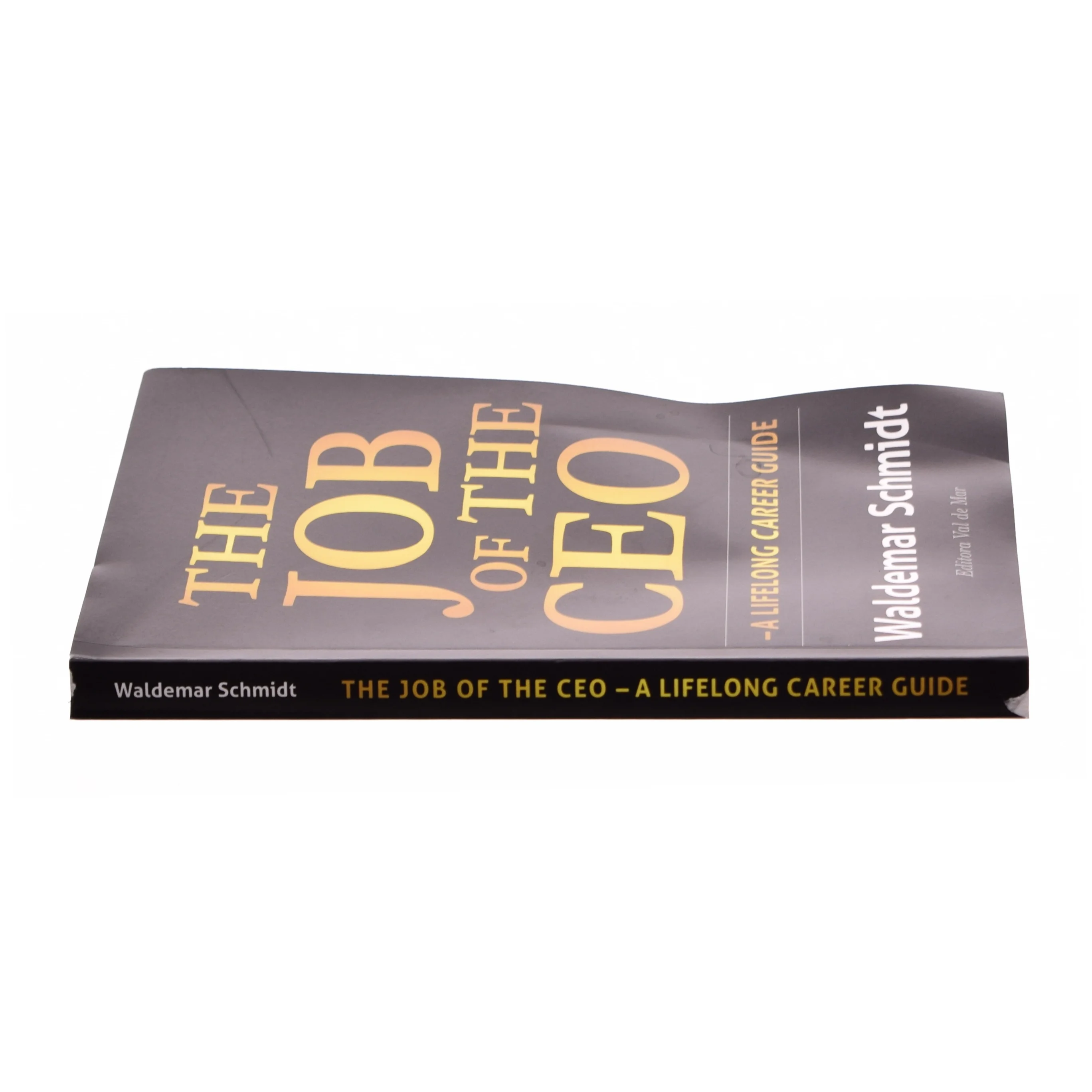 The Job of the CEOnaf Waldemar Schmidt (Bog)