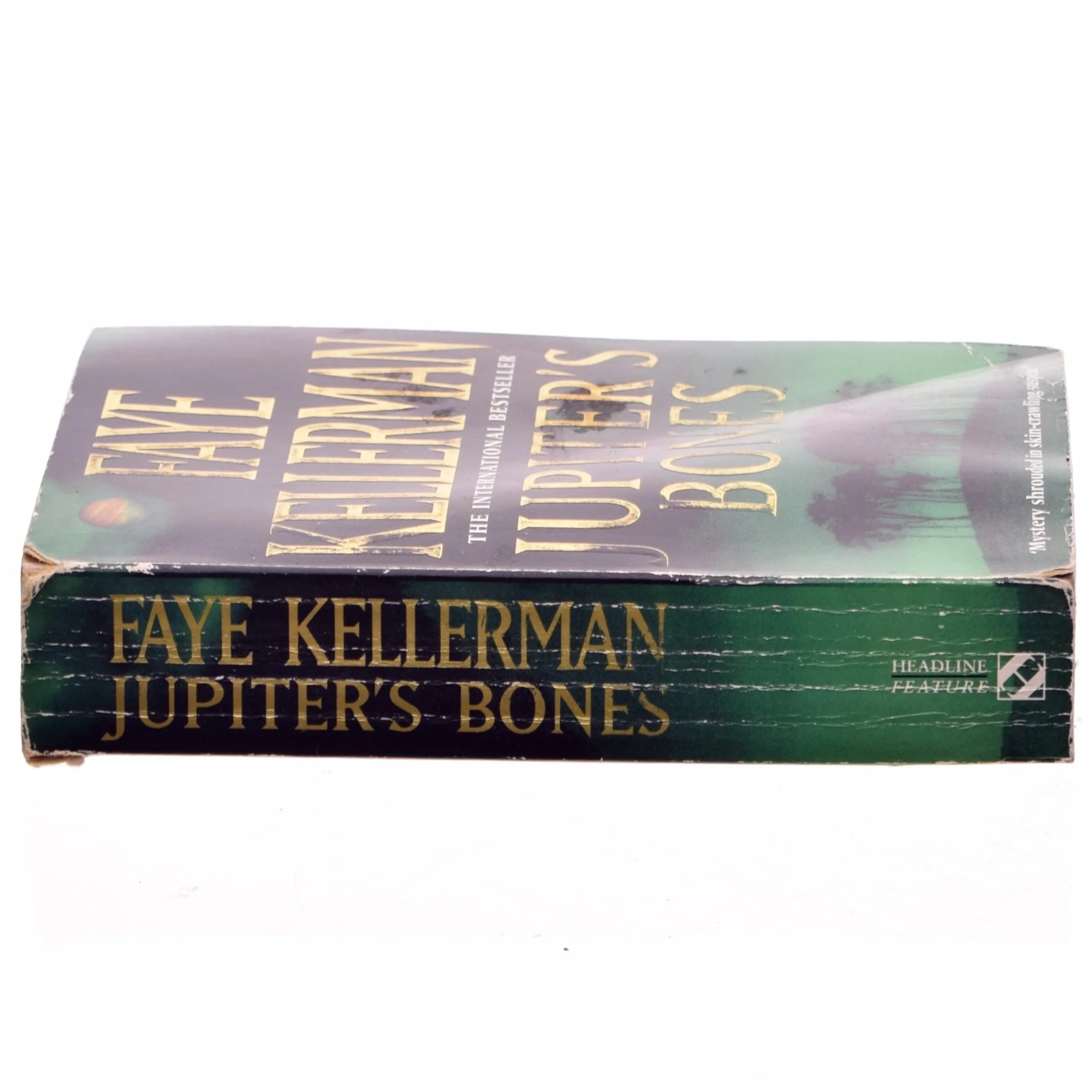 Jupiter's bones af Faye Kellerman (Bog)