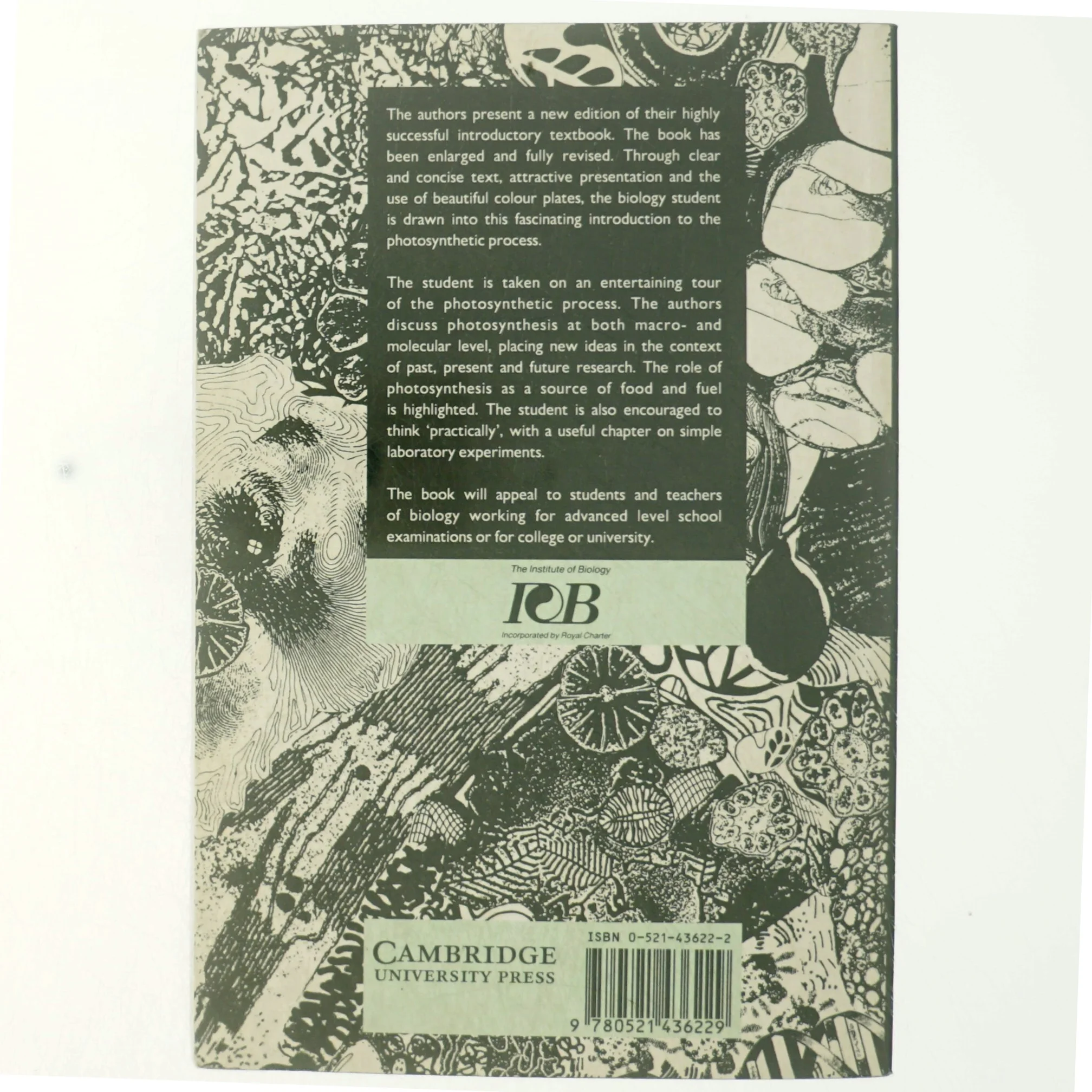 Photosynthesis (Bog)