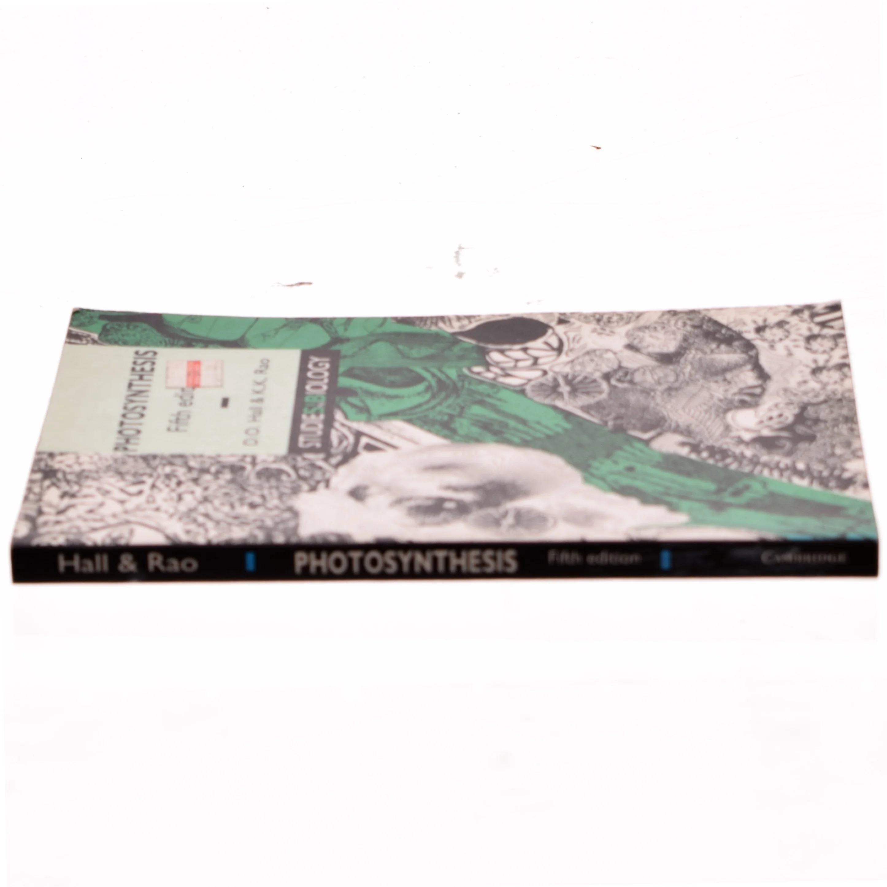 Photosynthesis (Bog)