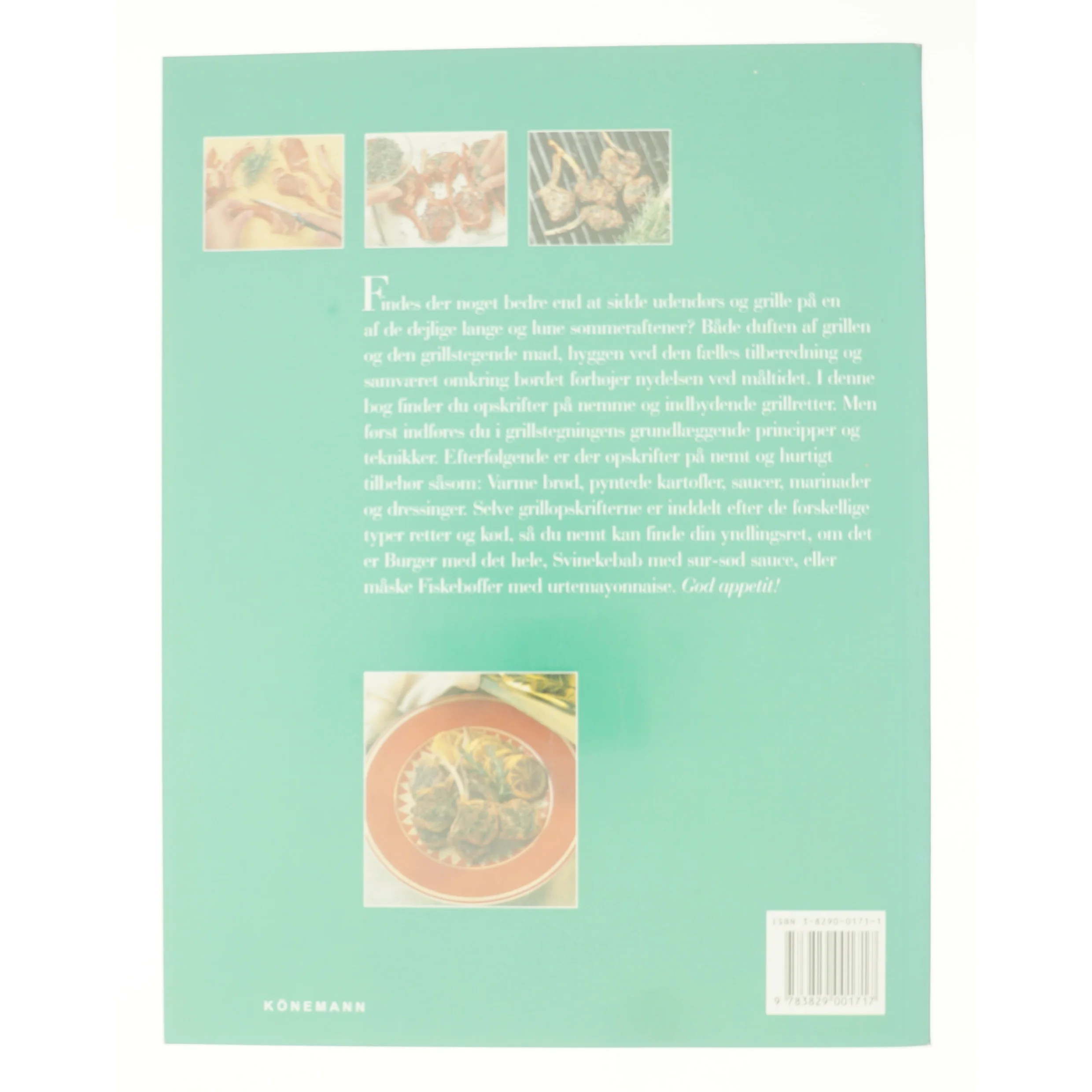 Perfekt grillmad for begyndere af Anne Wilson (Bog)