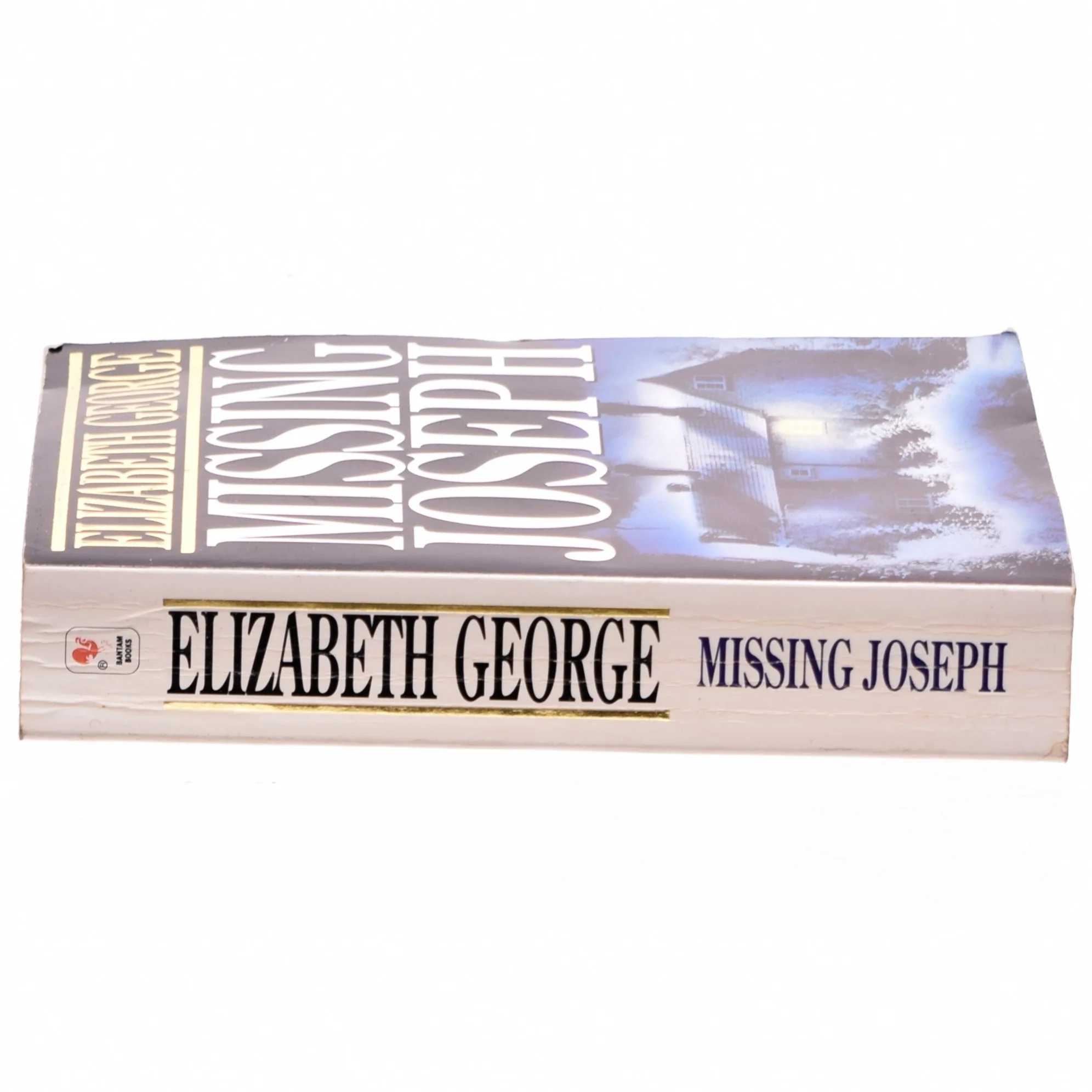 Missing Joseph af Elizabeth George (Bog)