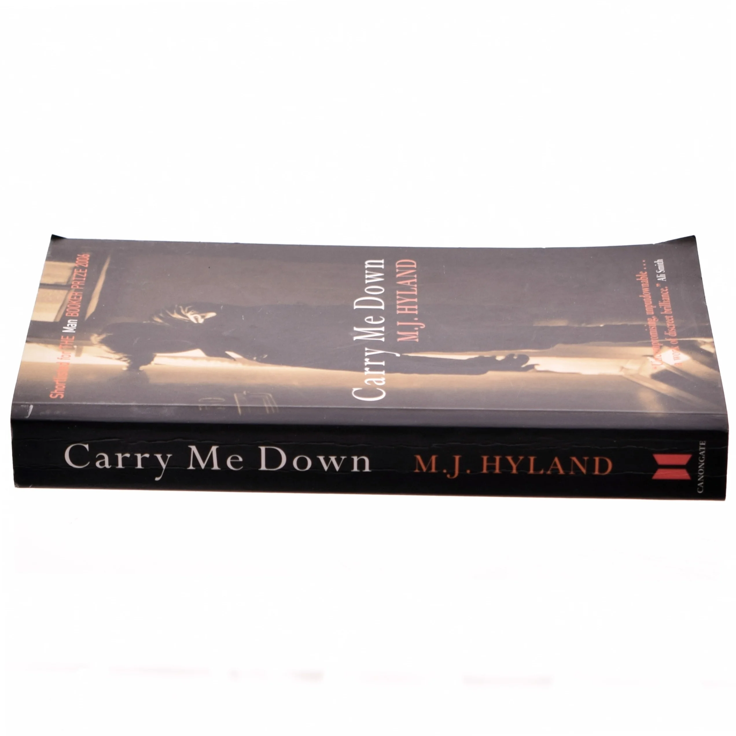 Carry me down af M. J. Hyland (Bog)