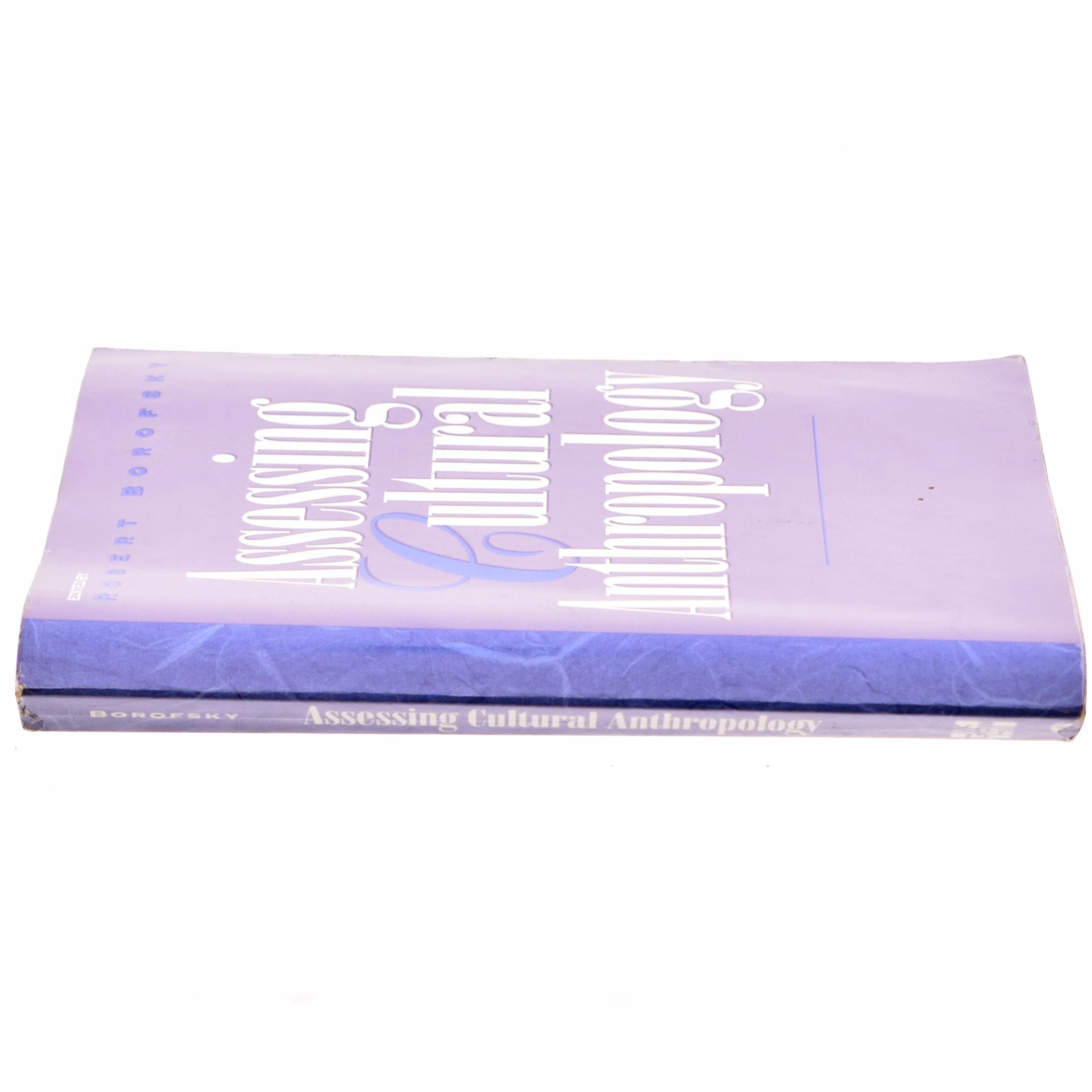 Assessing cultural anthropology af Robert Borofsky (Bog)