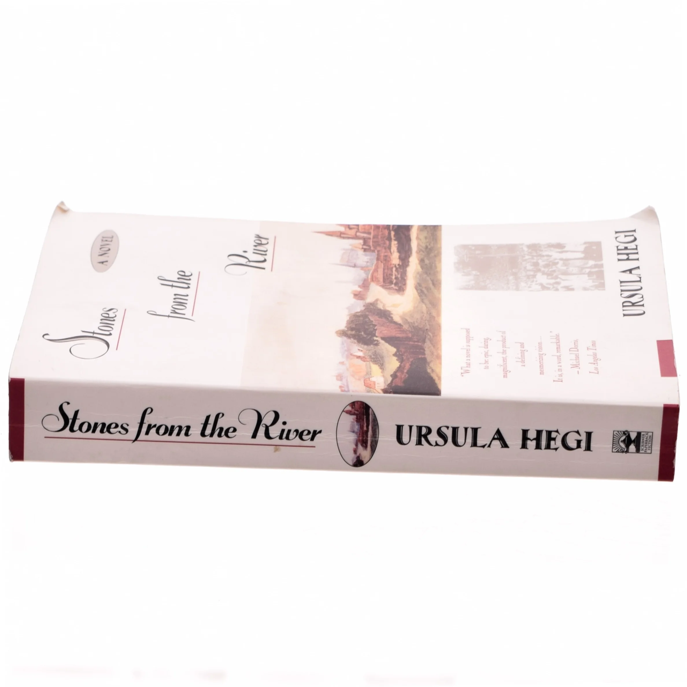 Stones from the river af Ursula Hegi (Bog)