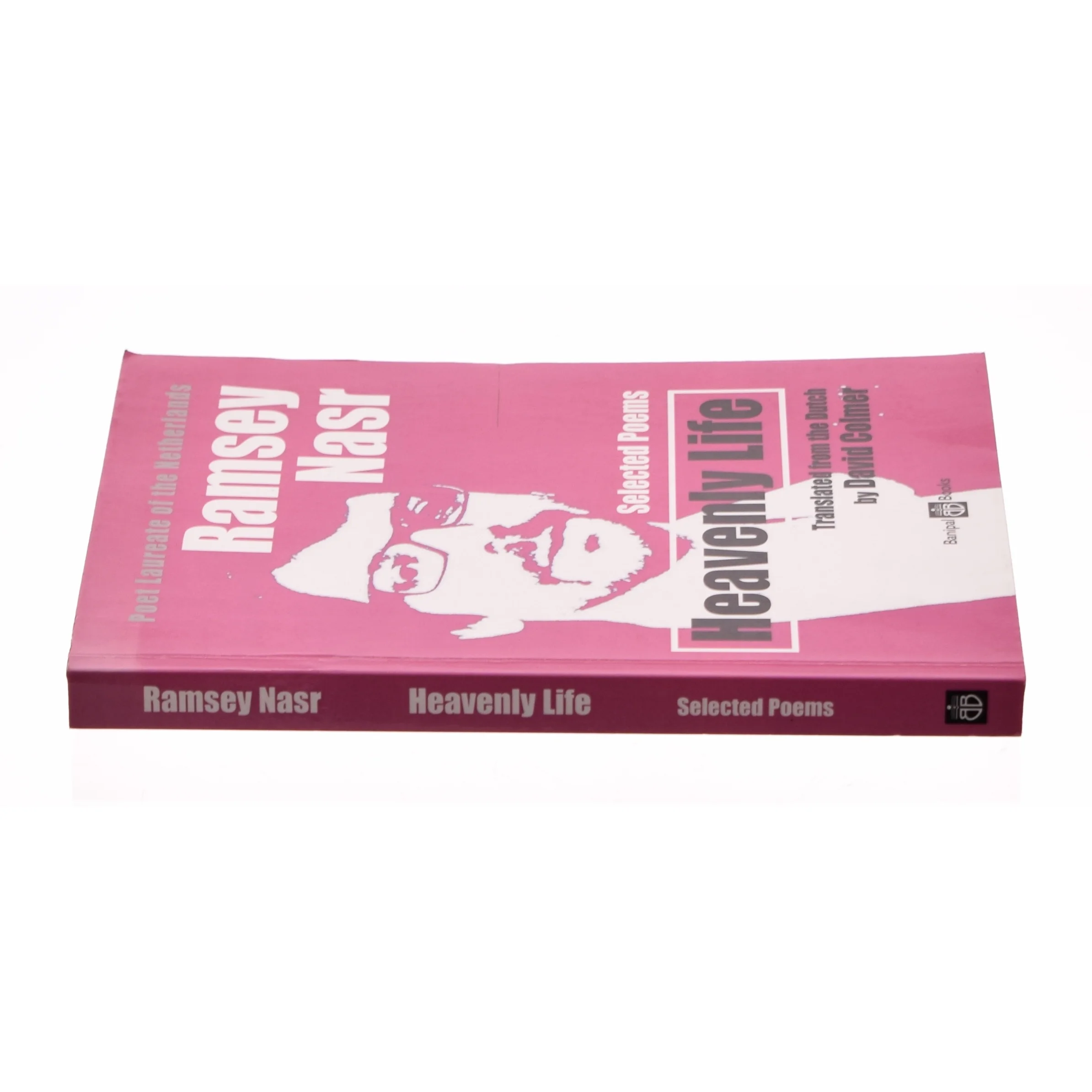 Heavenly Life Selected Poems (Bog)