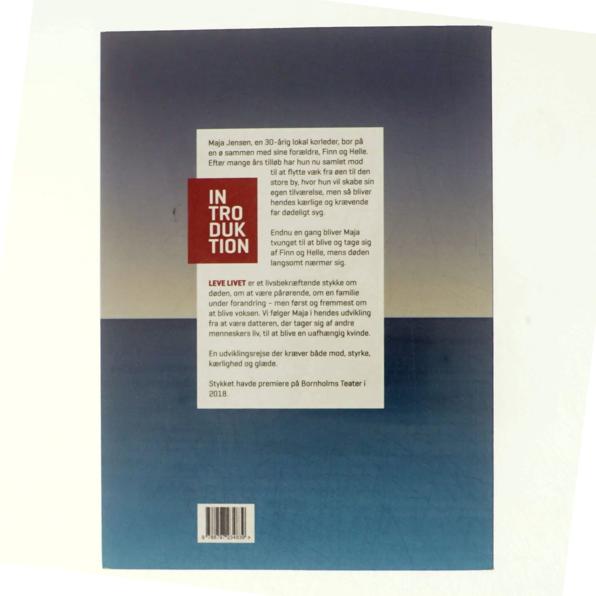 Leve livet : en livsbekræftende fortælling om døden af Rhea Leman (Bog)