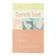 Stjernen, Ulykken og den største kærlighed af Danielle Steel (Bog)
