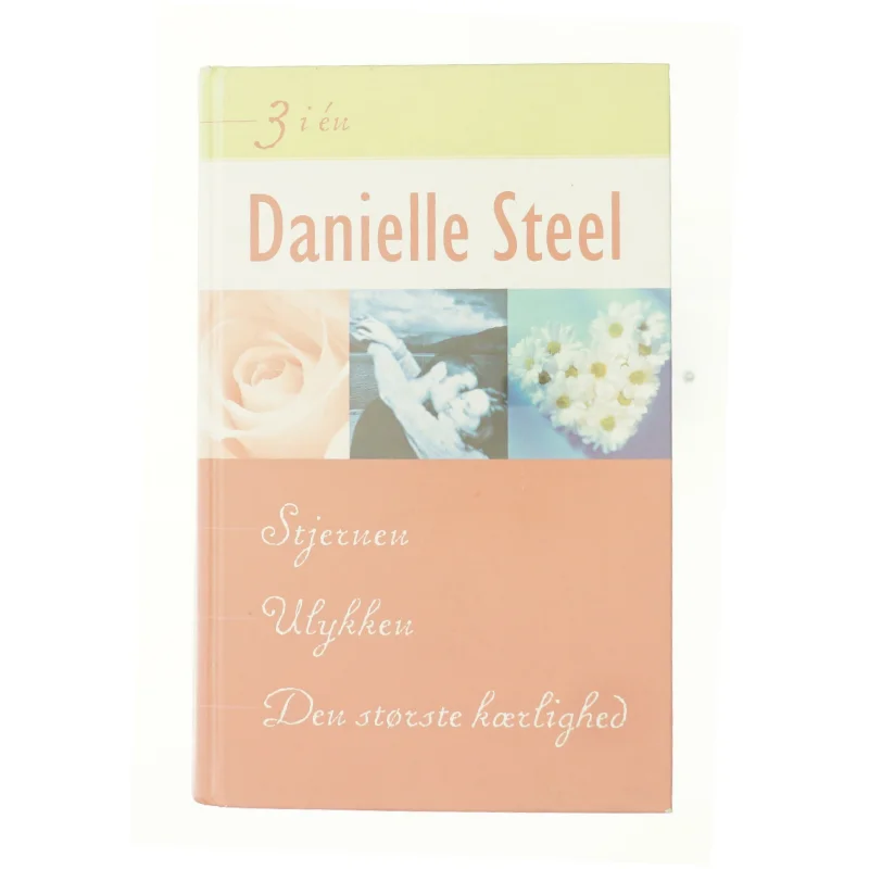 Stjernen, Ulykken og den største kærlighed af Danielle Steel (Bog)