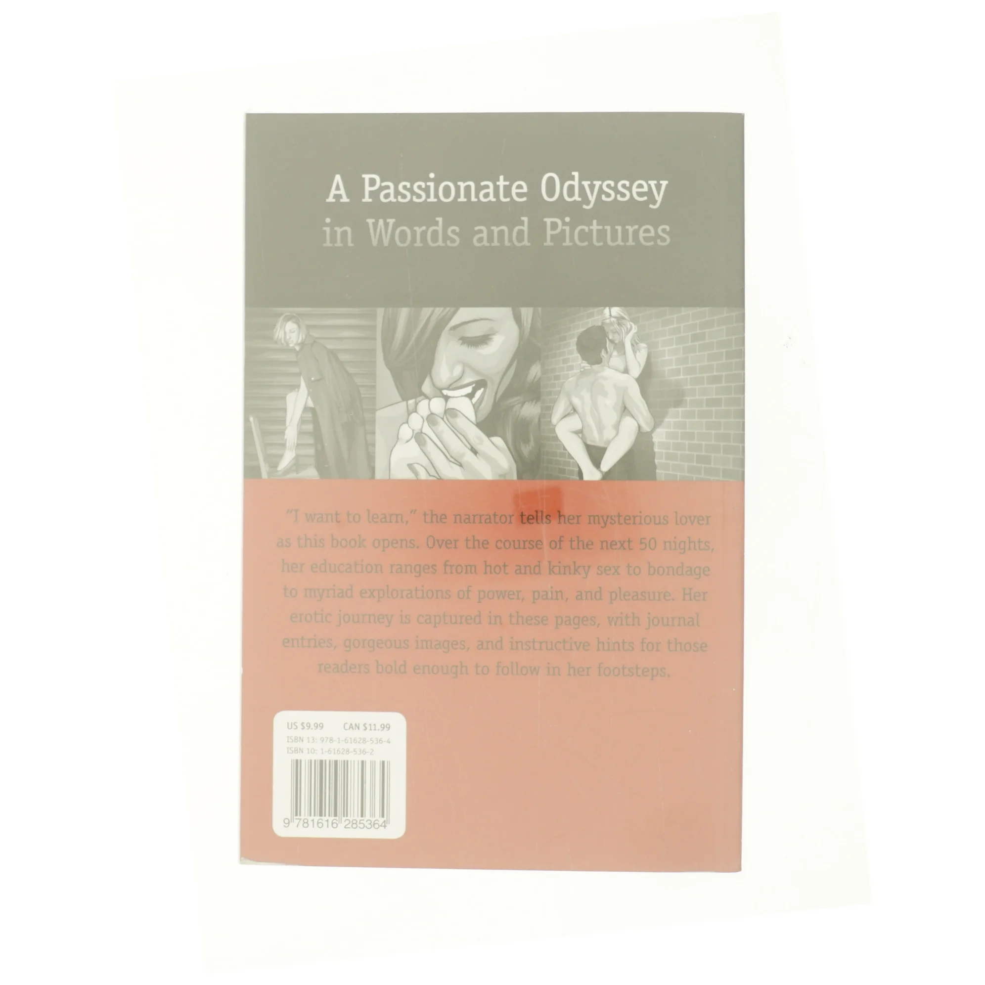 50 Nights in Gray : a Sensual Journey in Black and White af Laura Elias (Bog)