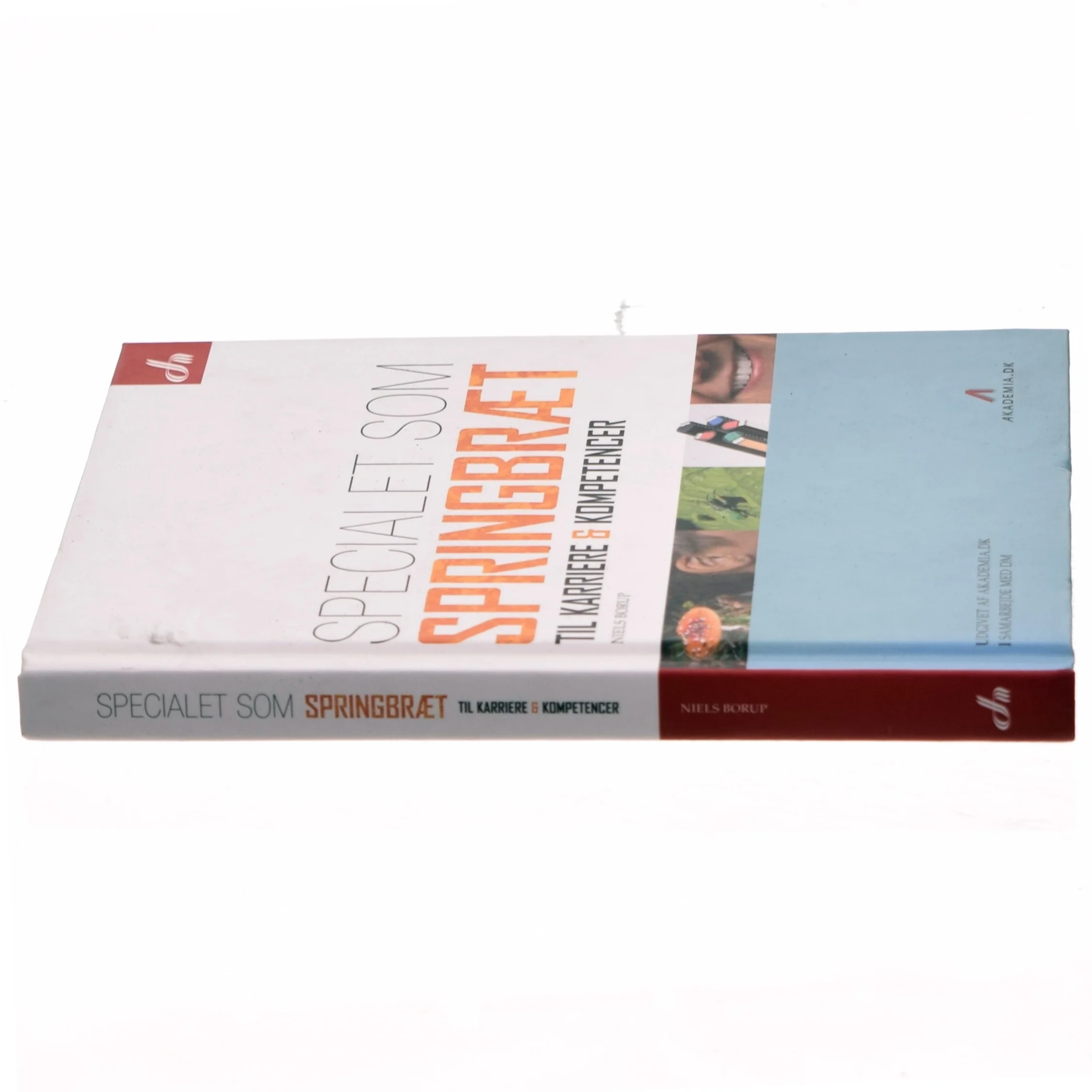 Specialet som springbræt til karriere & kompetencer af Niels Borup (Bog)