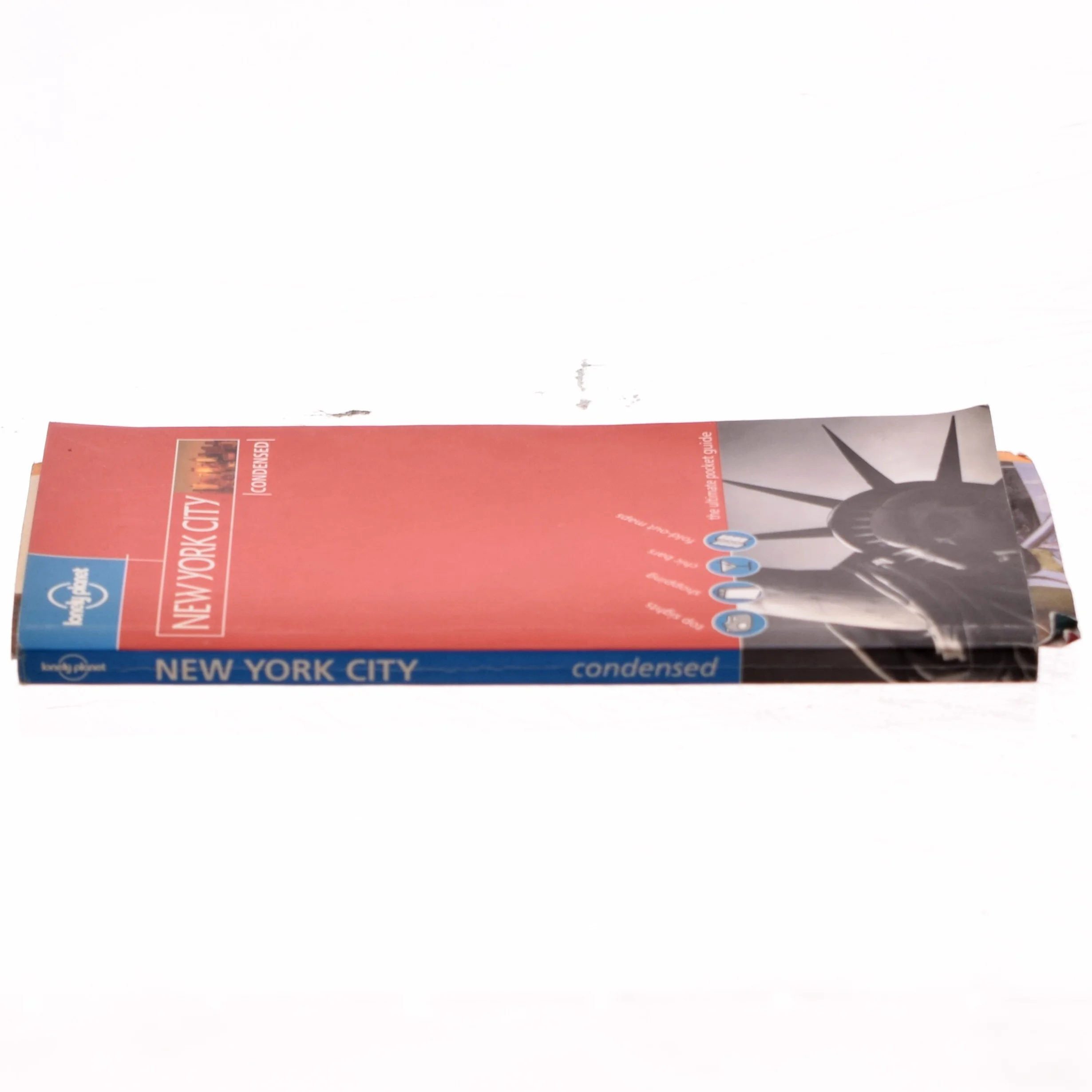 New York City condensed af Dani Valent (Bog)