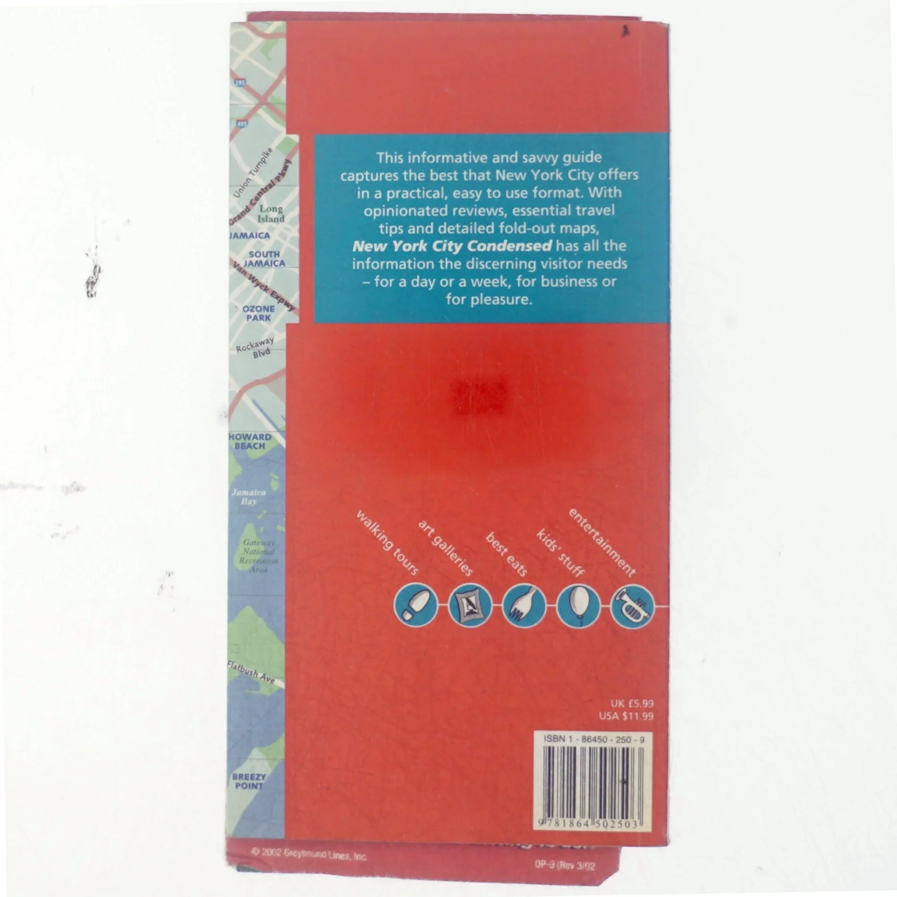 New York City condensed af Dani Valent (Bog)