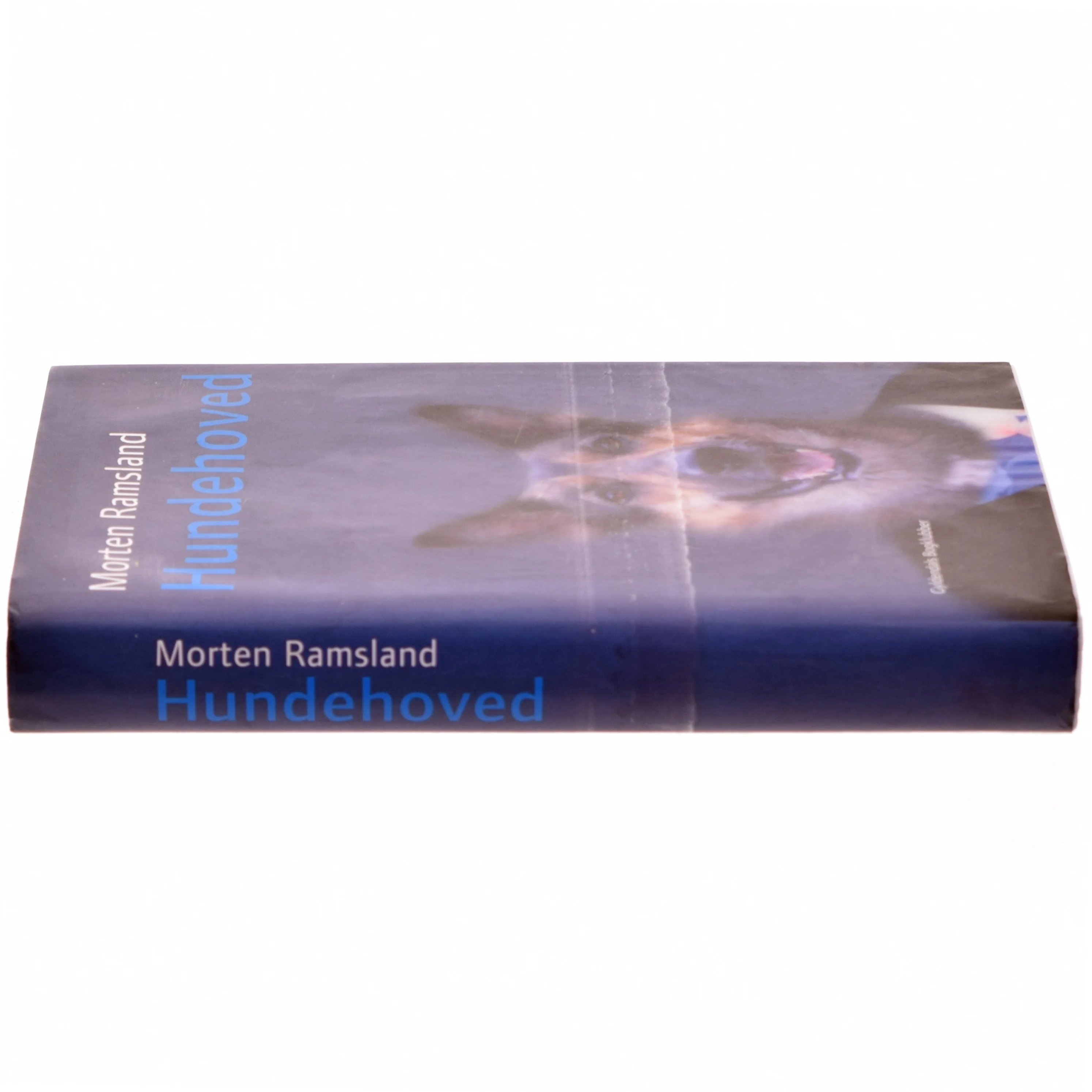 Hundehoved : roman af Morten Ramsland (Bog)