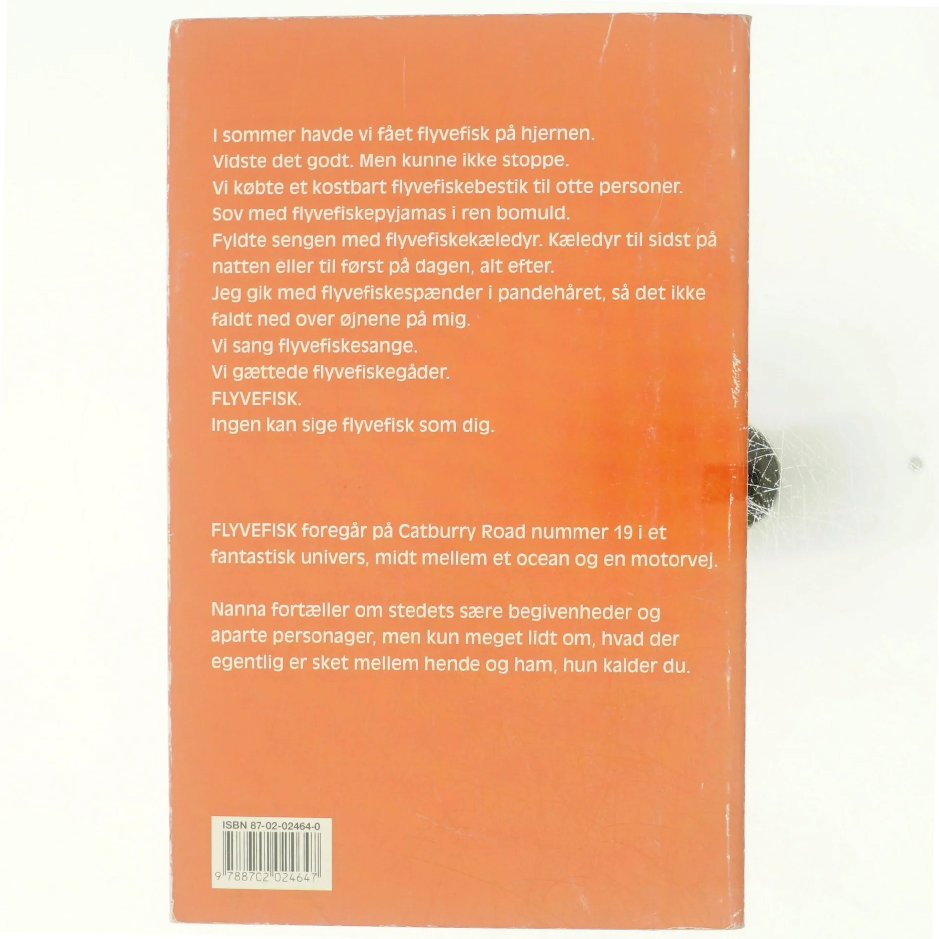 Flyvefisk af Anette Steinbrüchel (Bog)