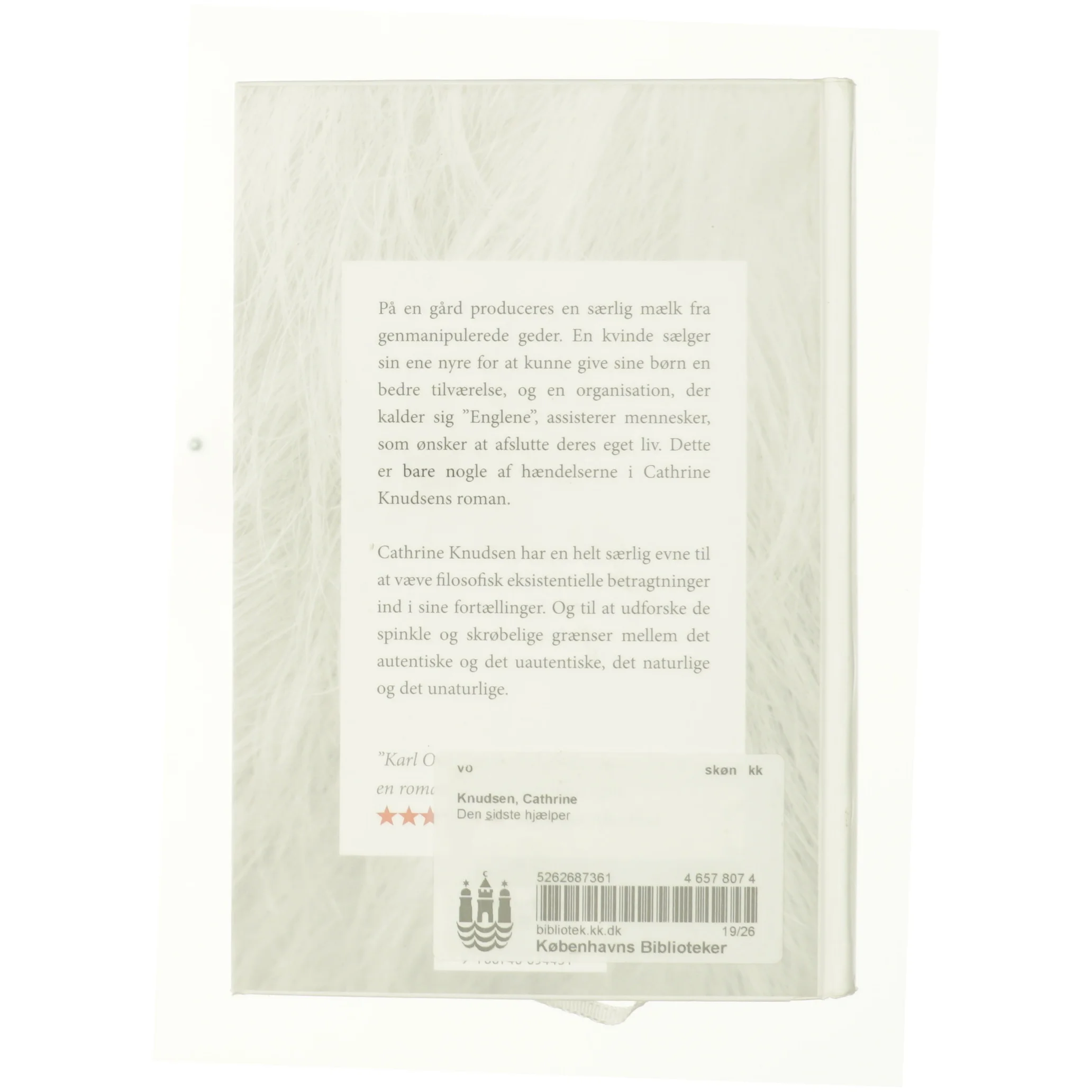 Den sidste hjælper af Cathrine Knudsen (Bog)