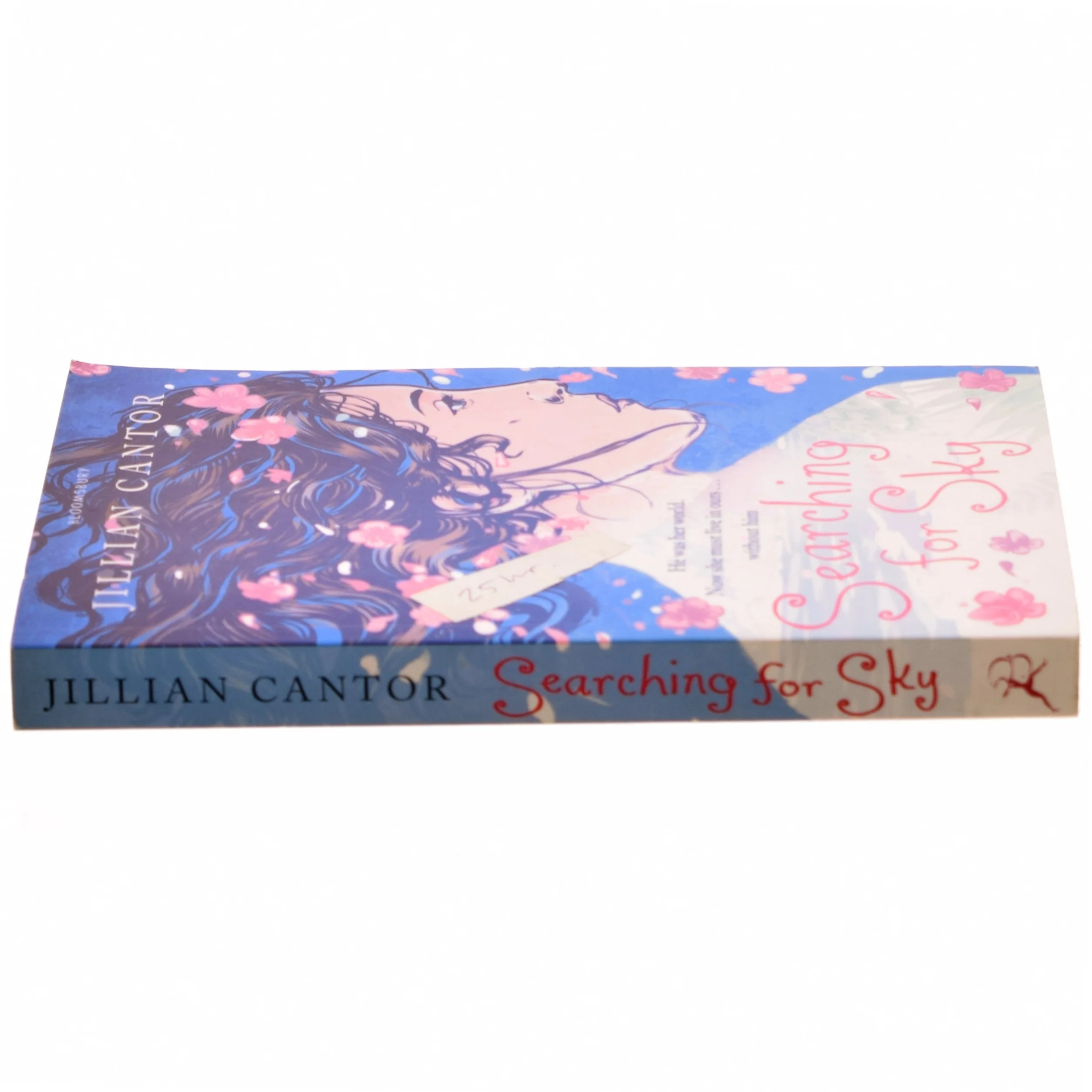 Searching for Sky af Jillian Cantor (Bog)