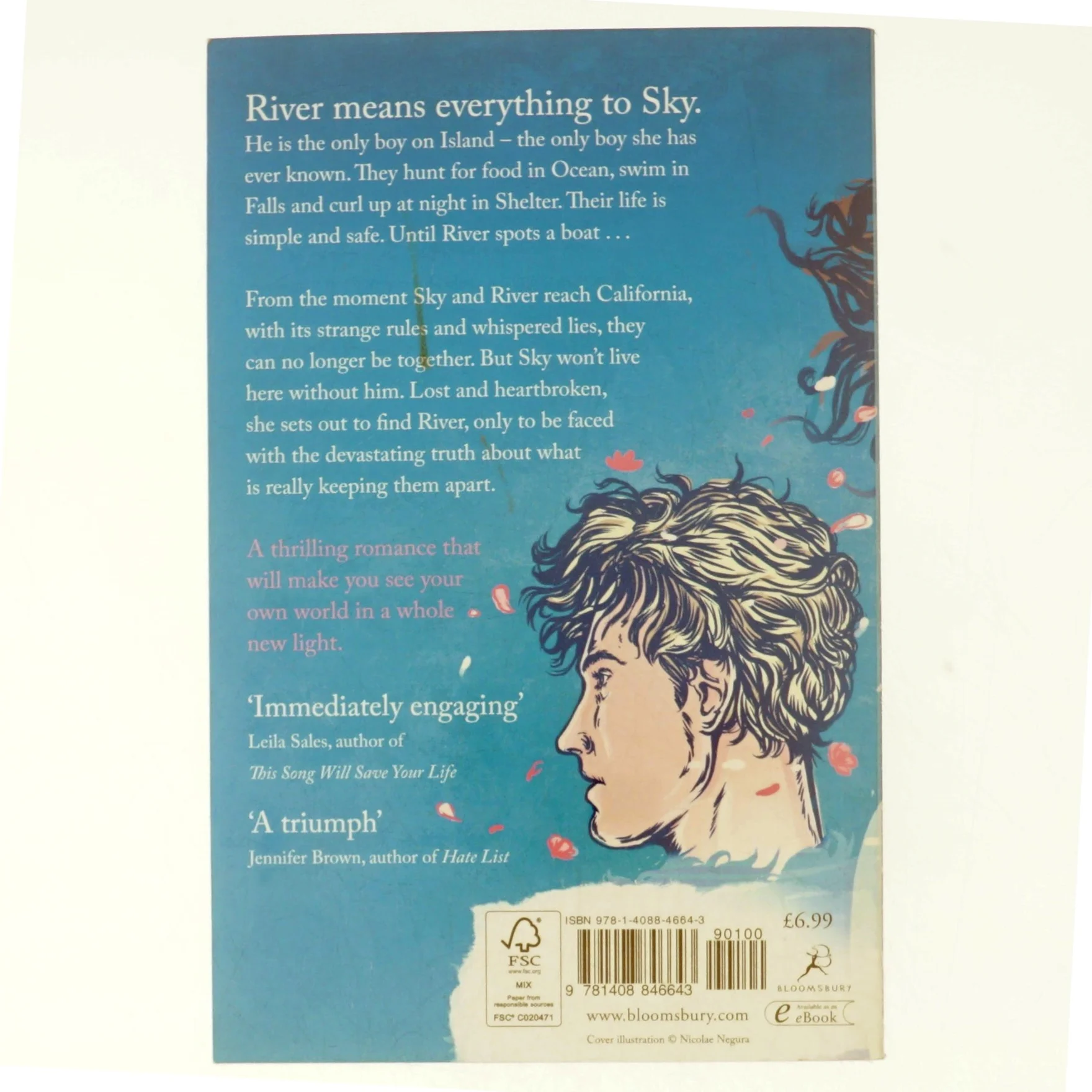 Searching for Sky af Jillian Cantor (Bog)